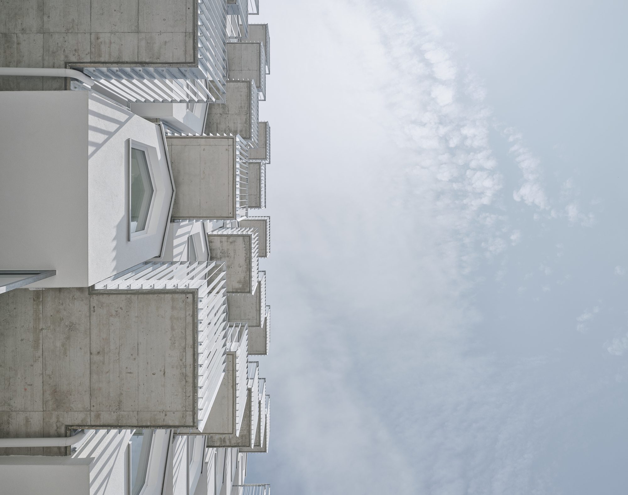 © David Schreyer10