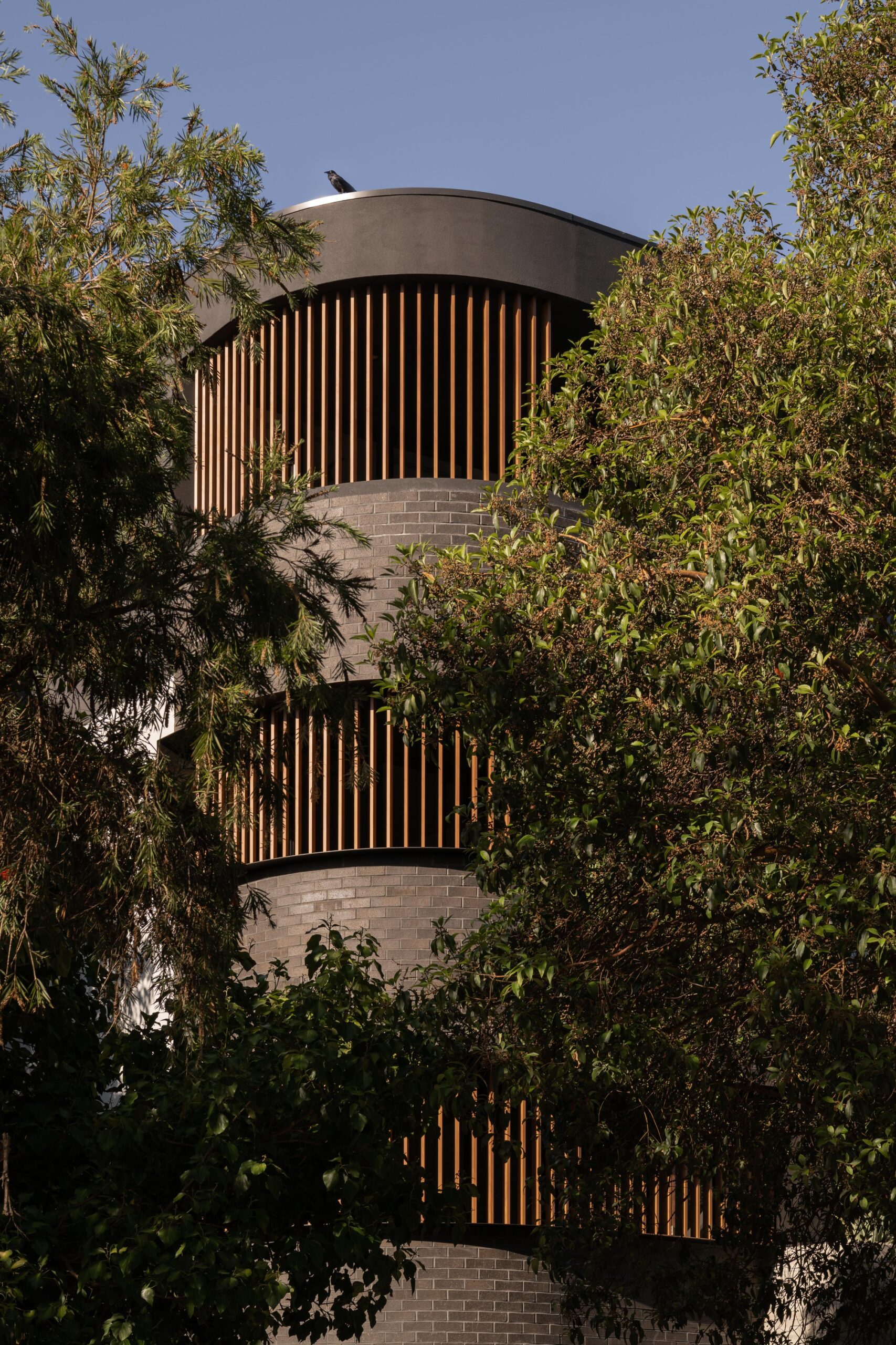95 Evans Street