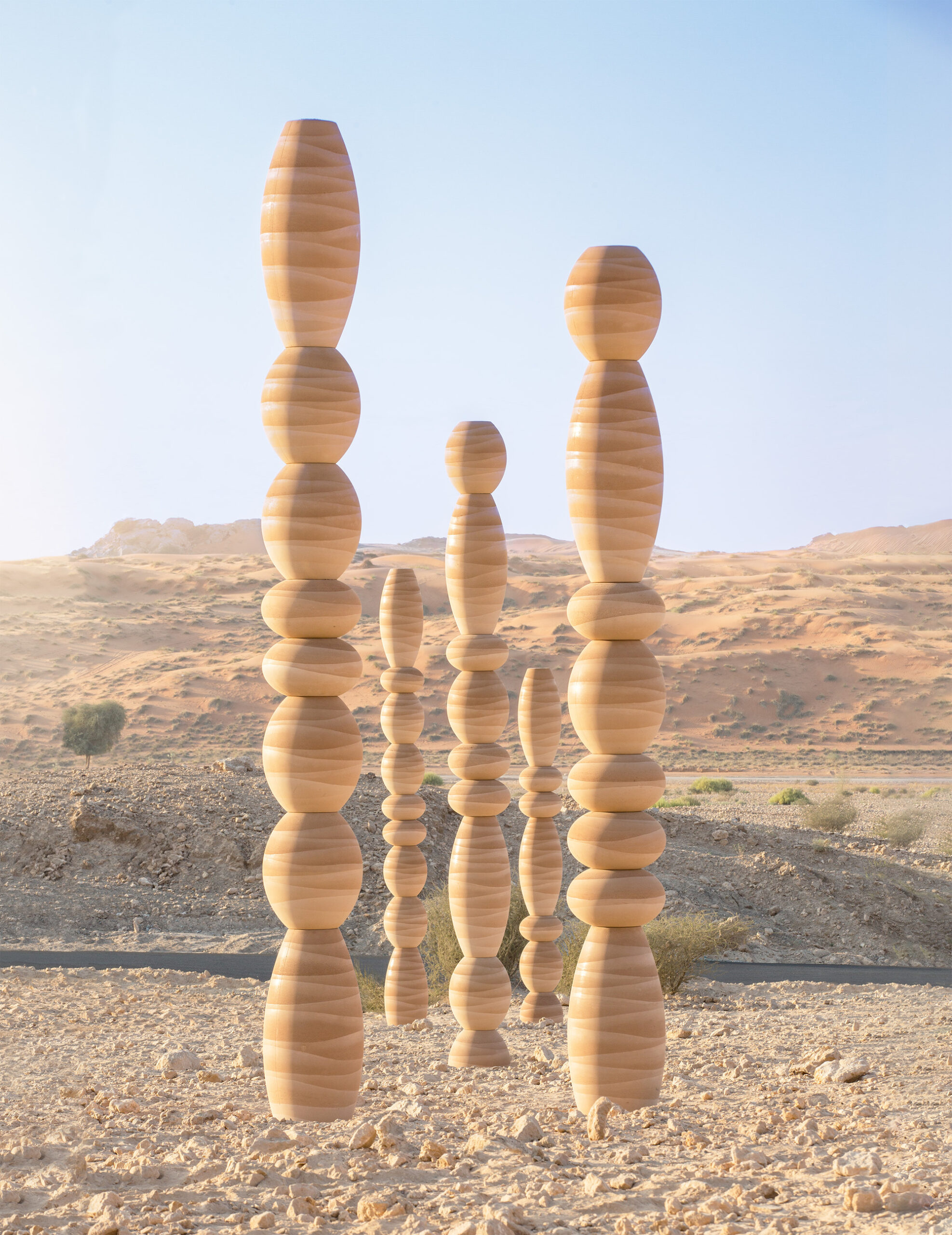 The Desert Relics