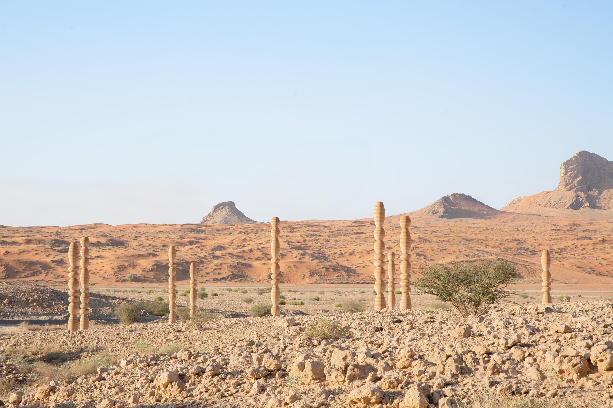 The Desert Relics