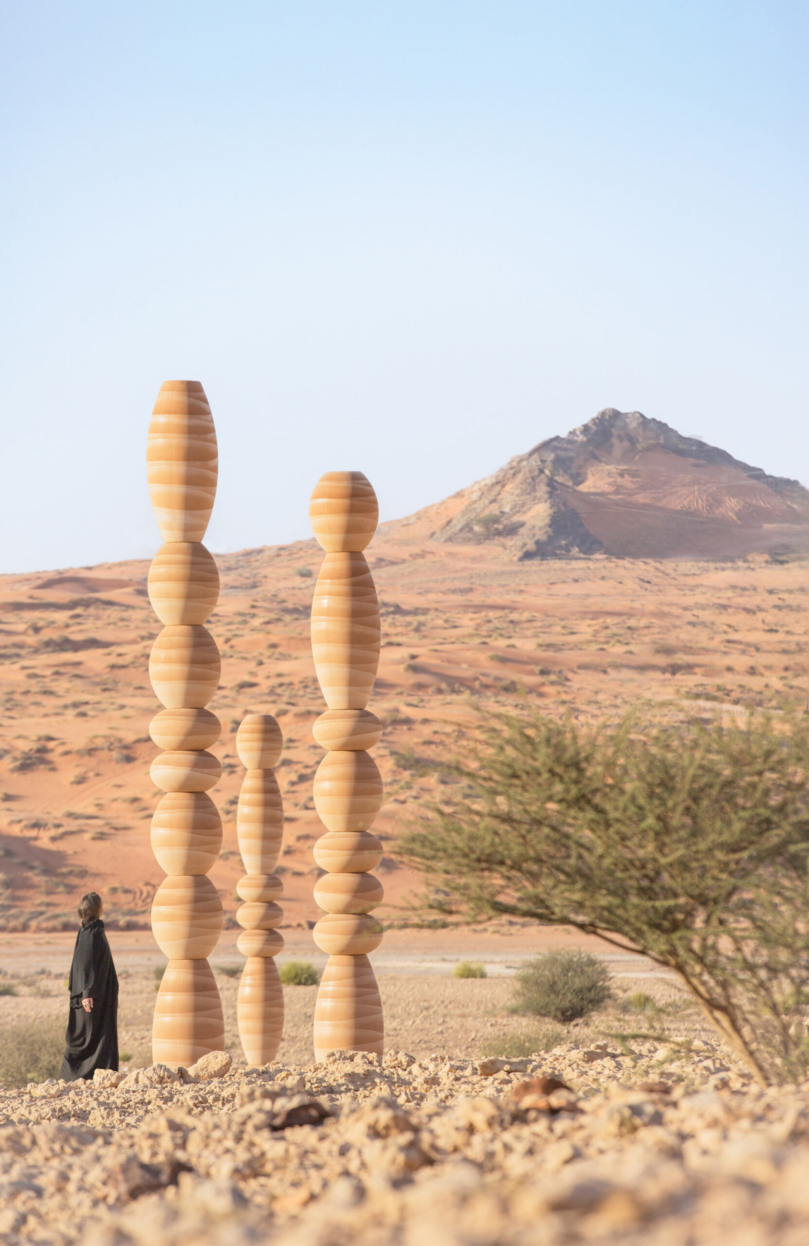 The Desert Relics