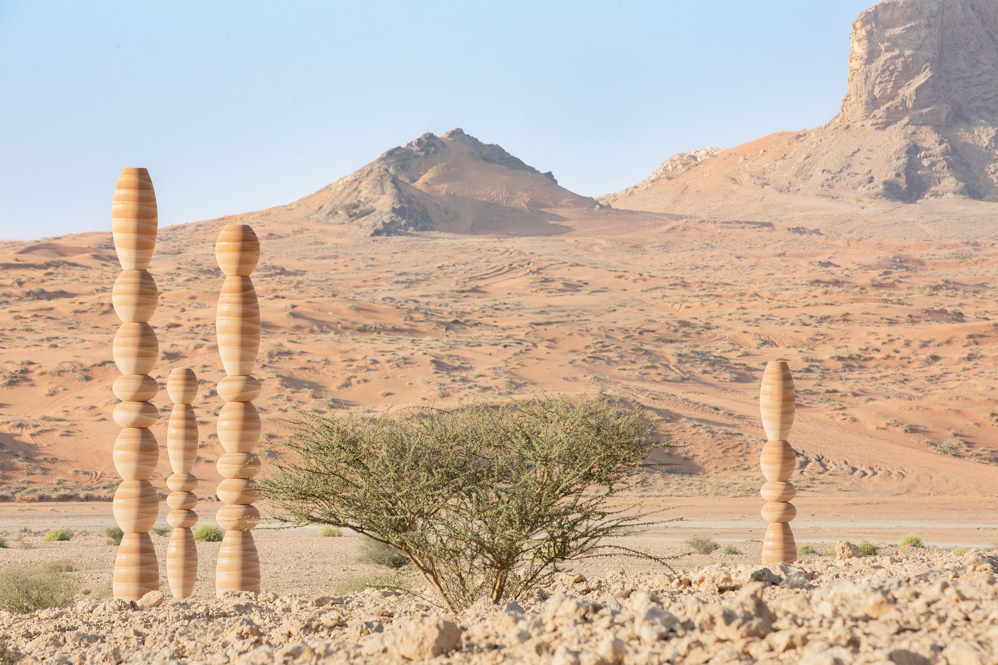 The Desert Relics
