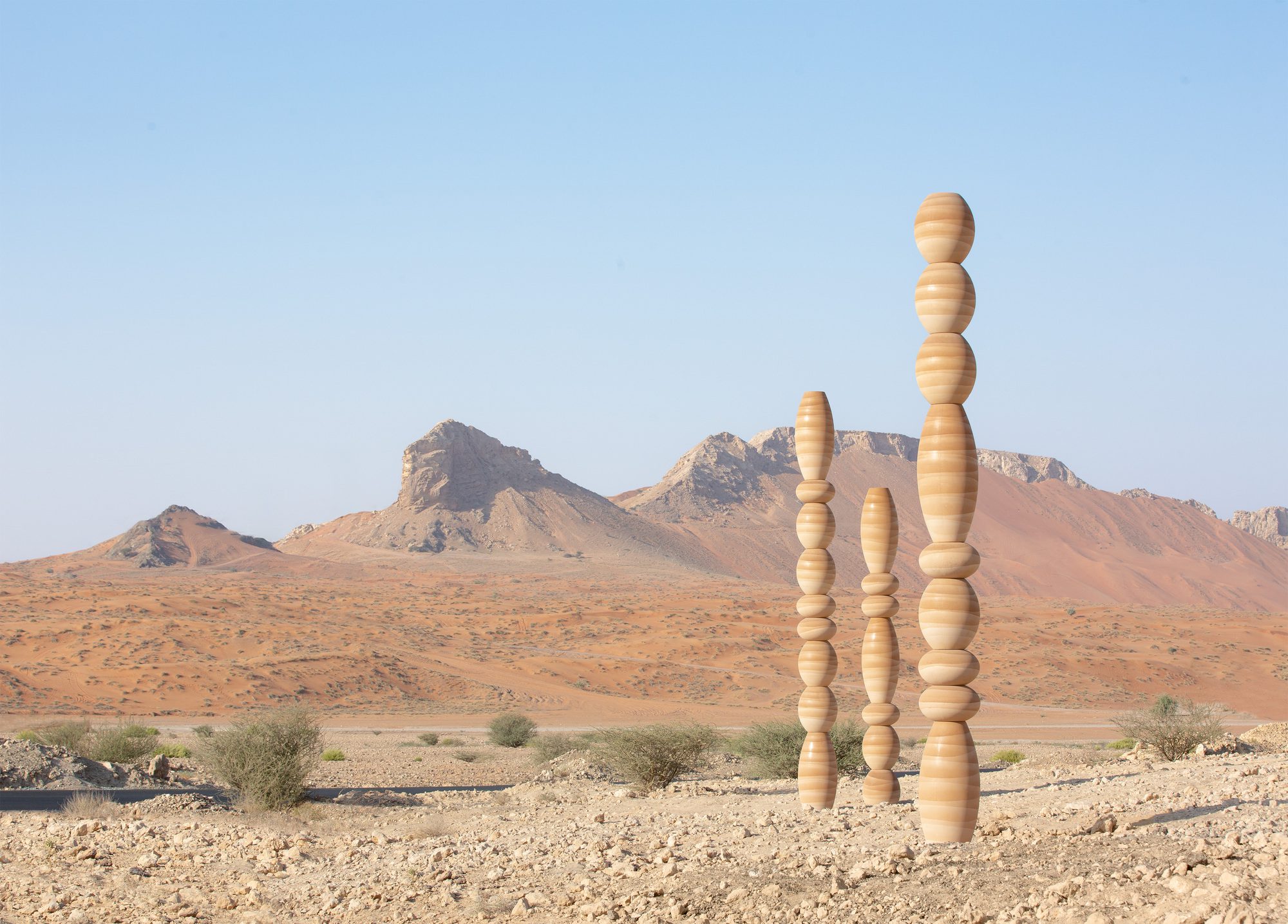 The Desert Relics