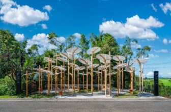 Structural Botany