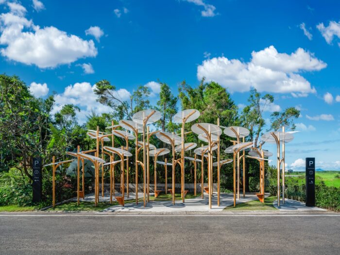Structural Botany