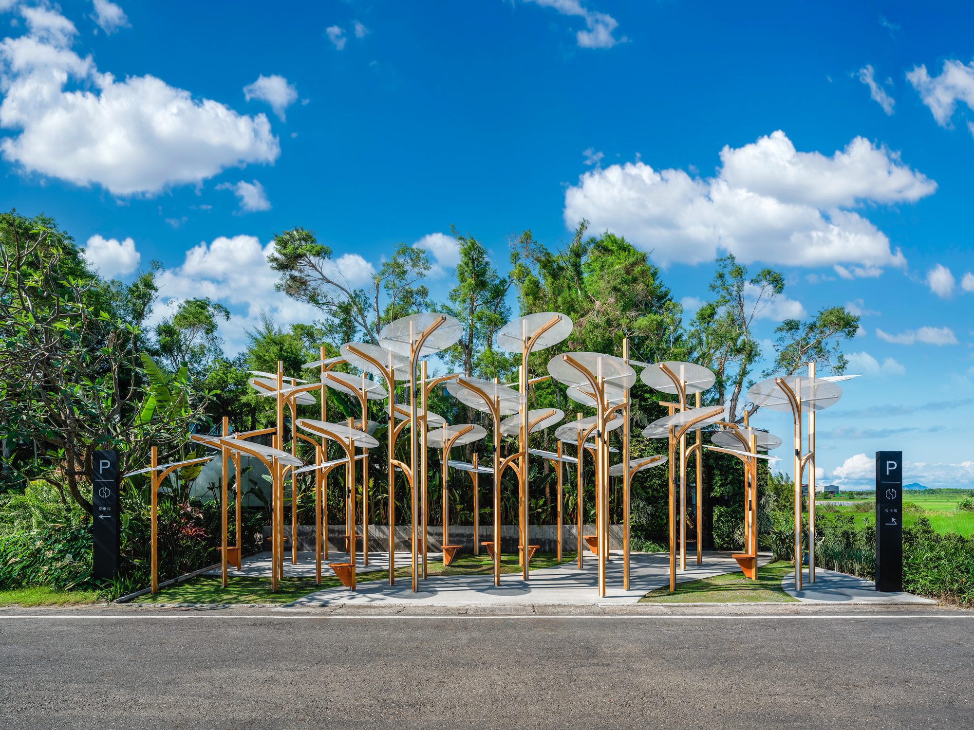 Structural Botany