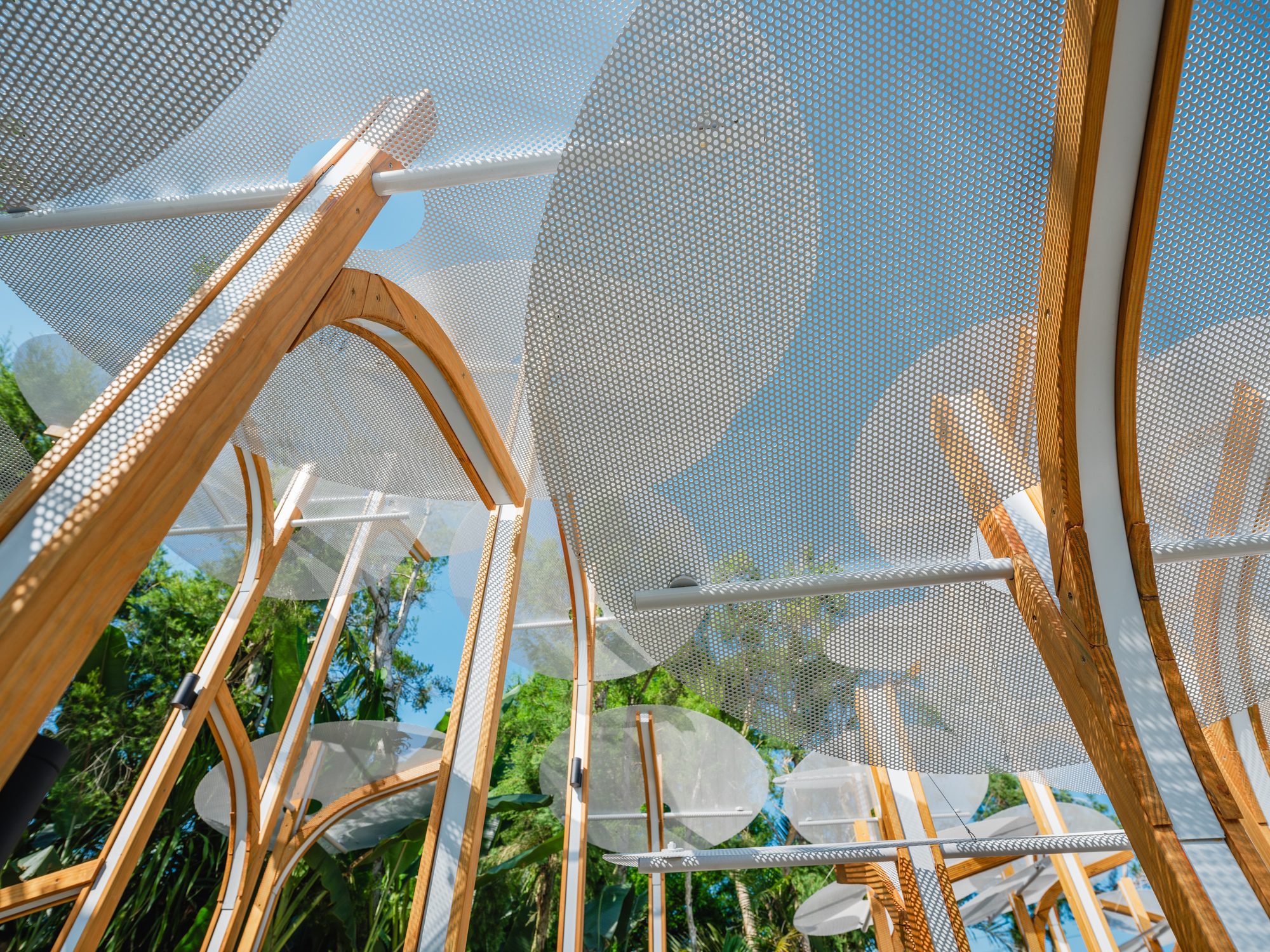 Structural Botany
