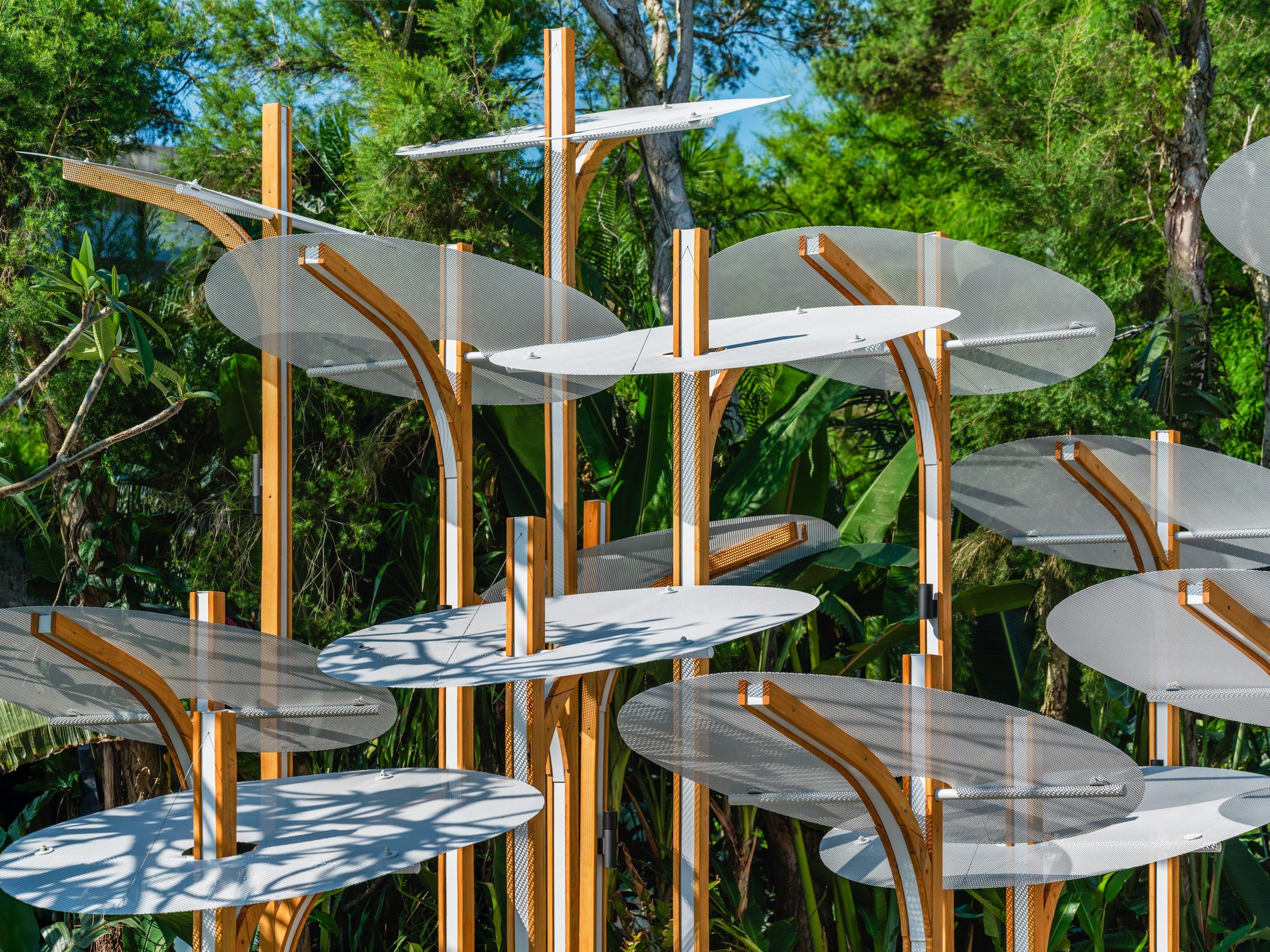 Structural Botany