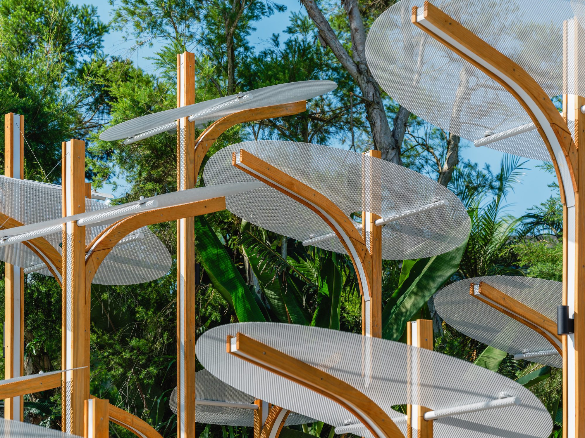 Structural Botany