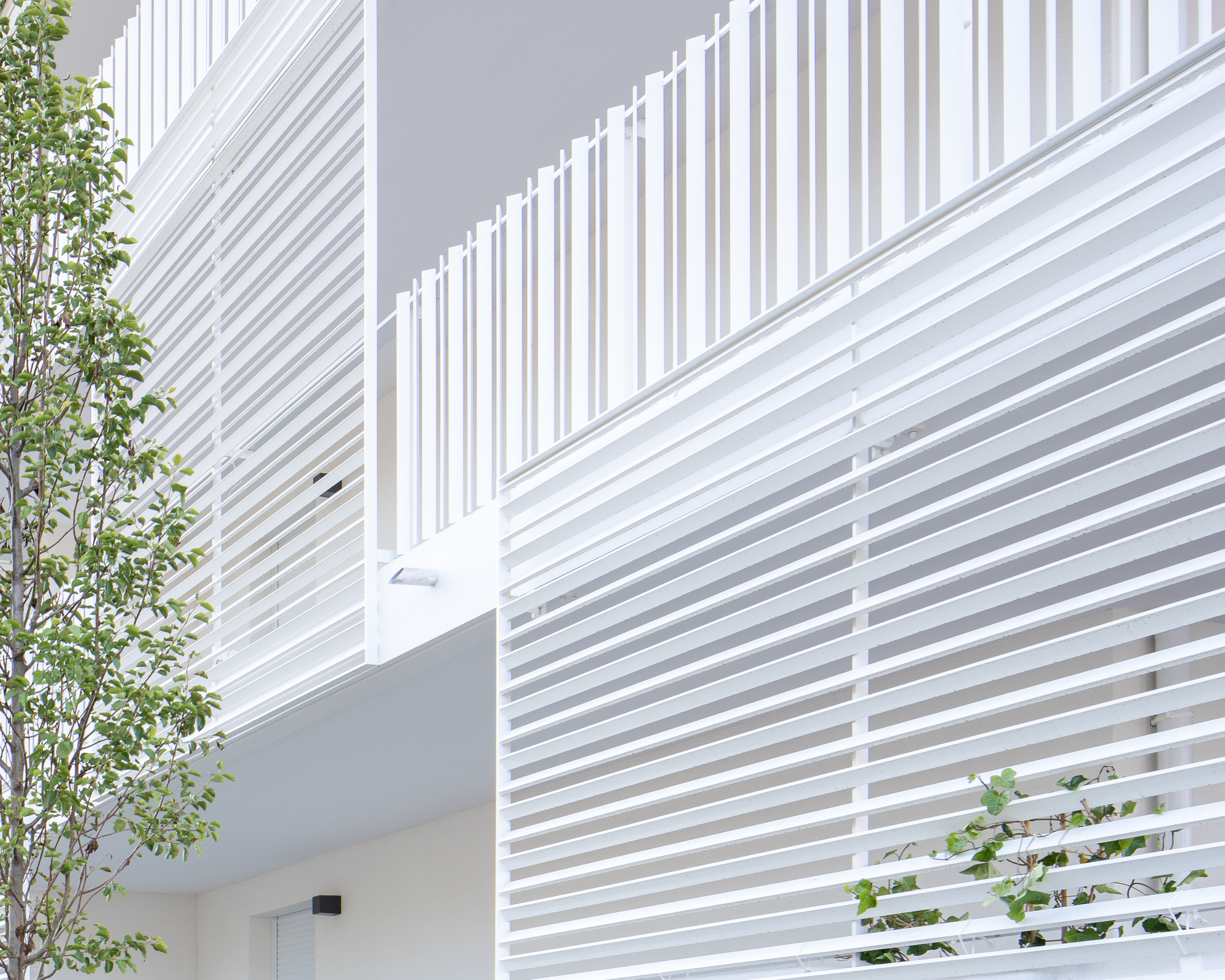 The house on the roof