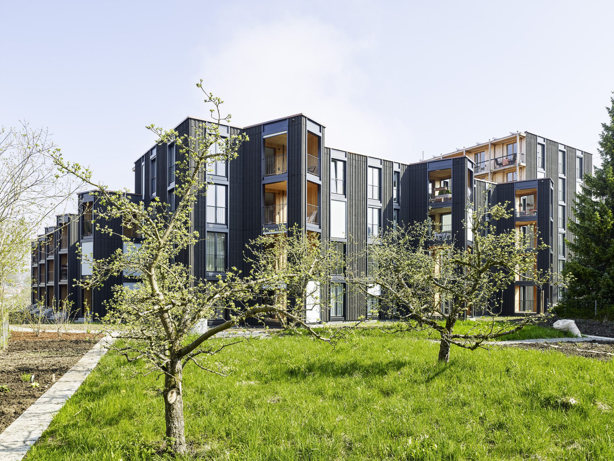 Hagmannareal Housing Development