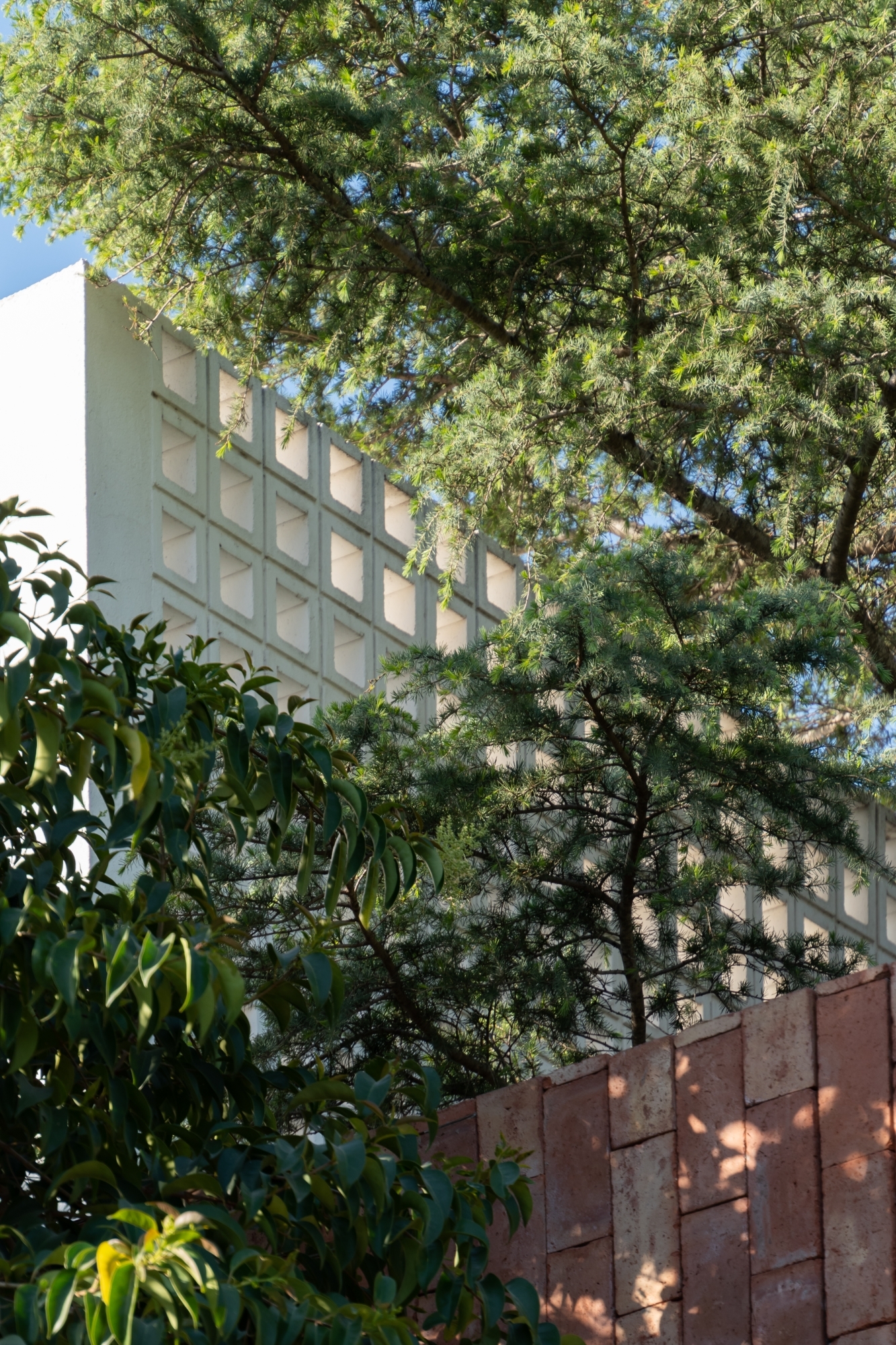 La Inesita Housing