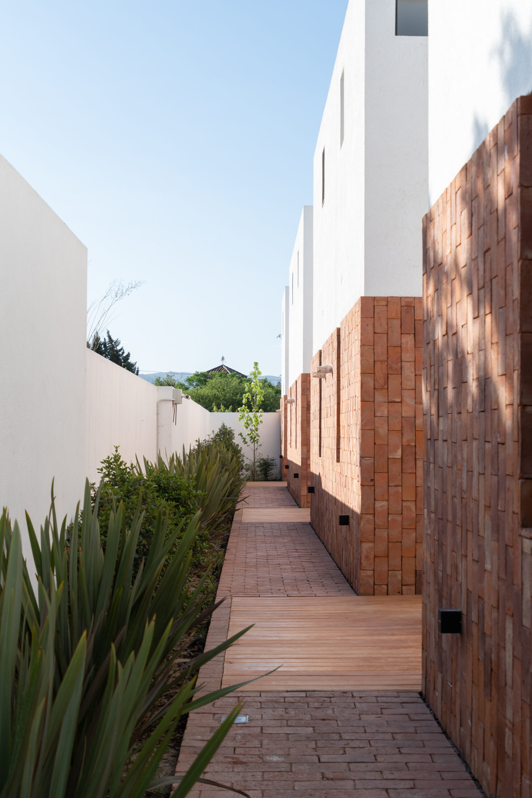La Inesita Housing