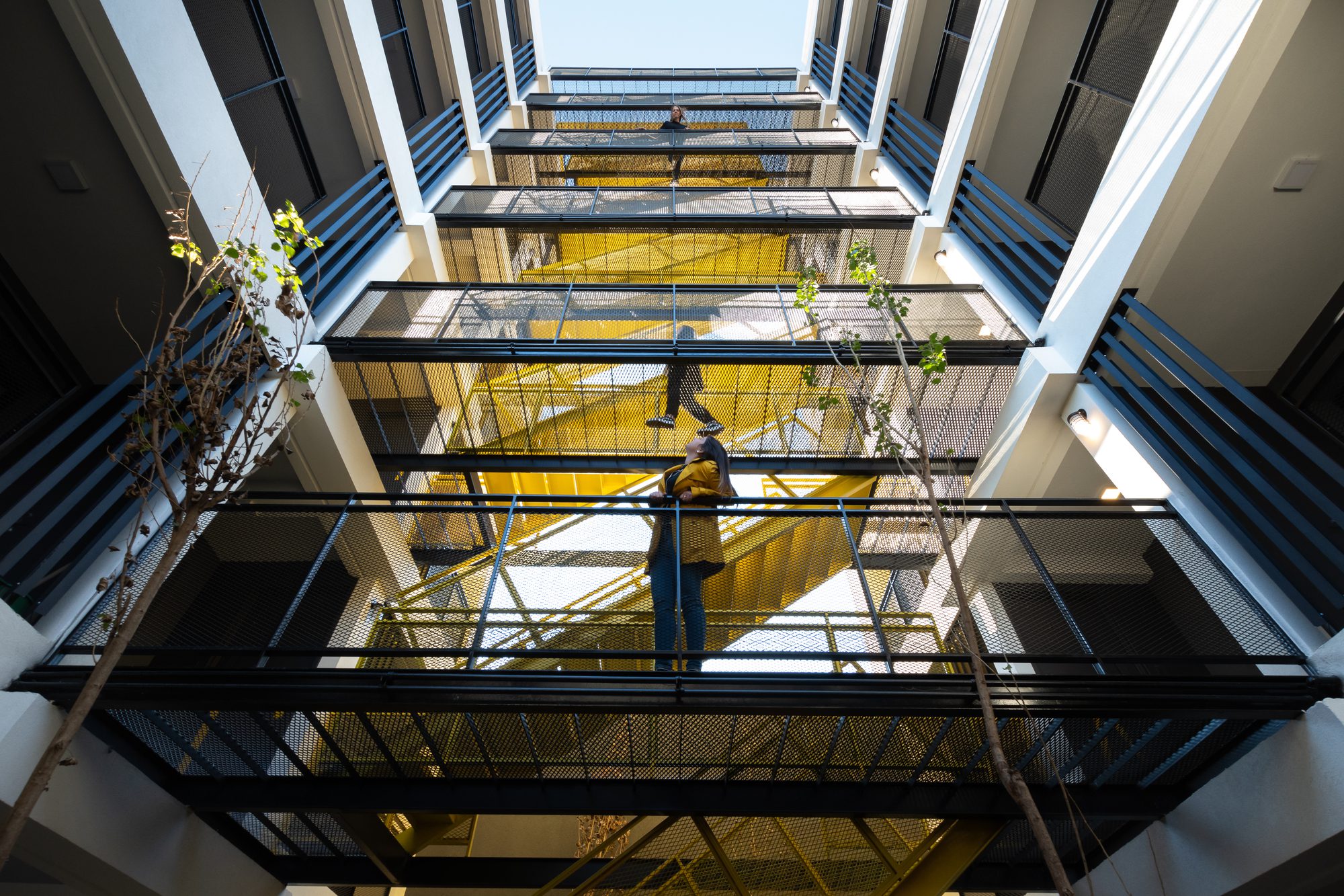 © Gonzalo Viramonte6