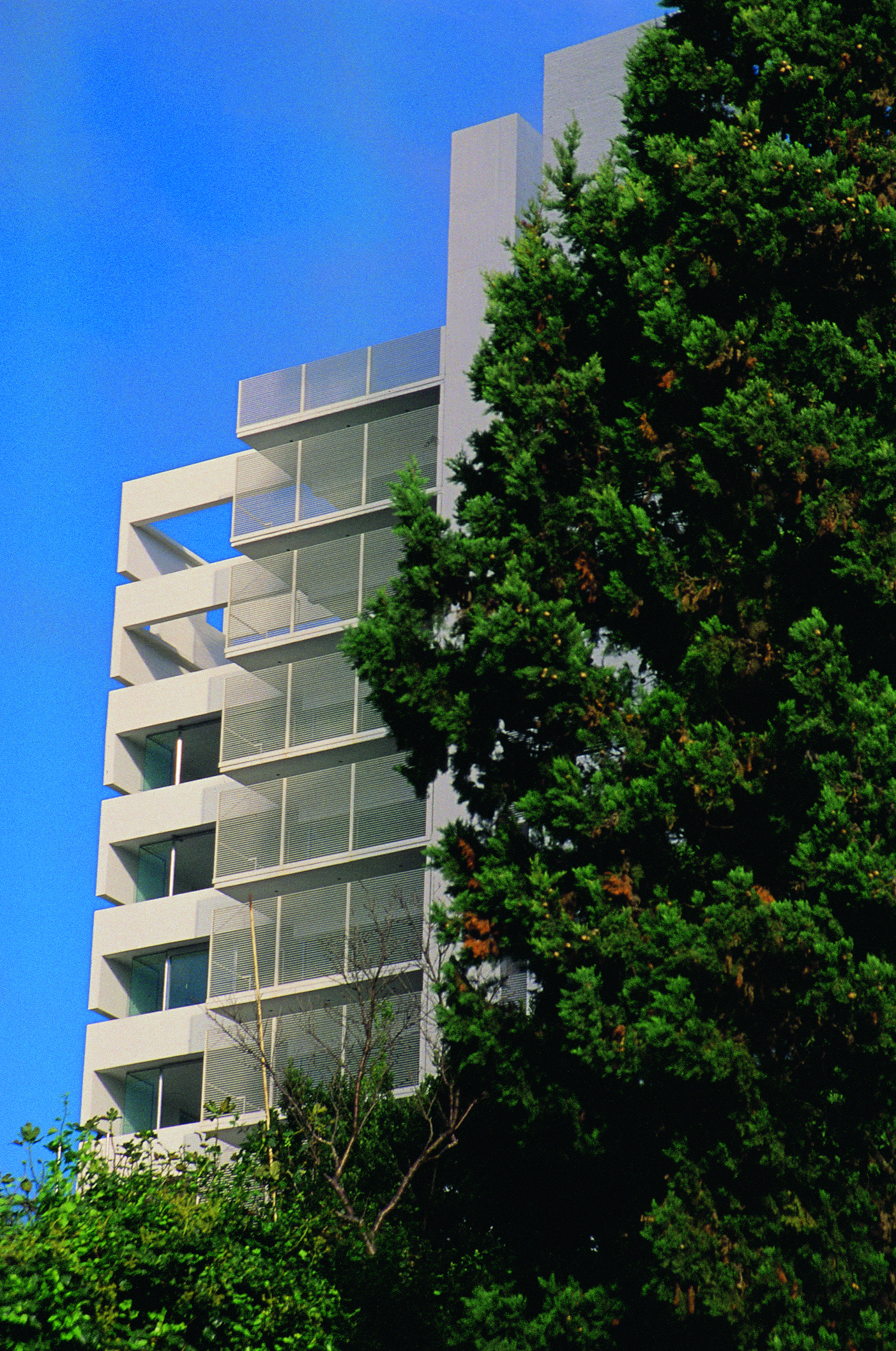 © Gustavo Frittegotto11