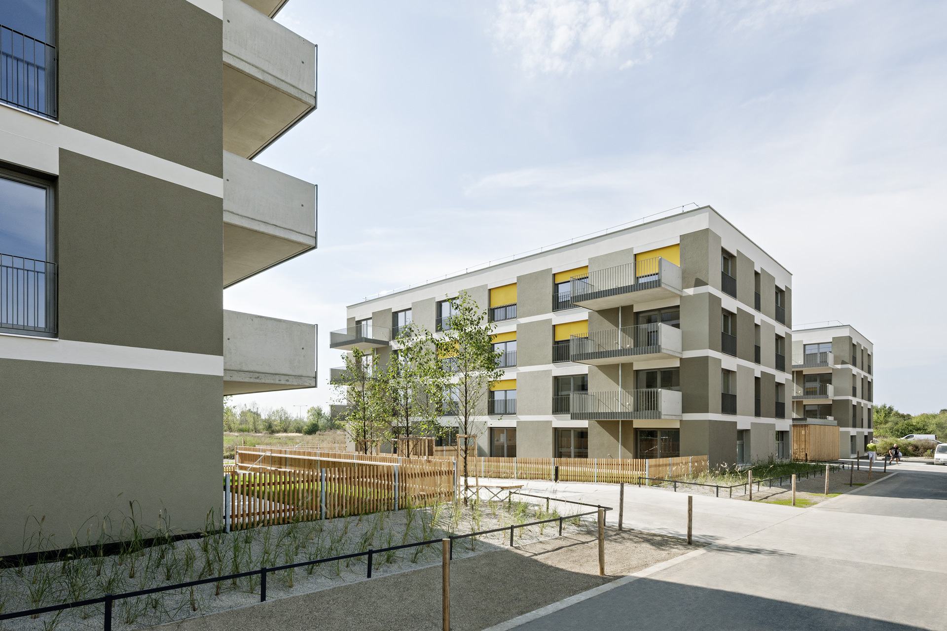 Site D23