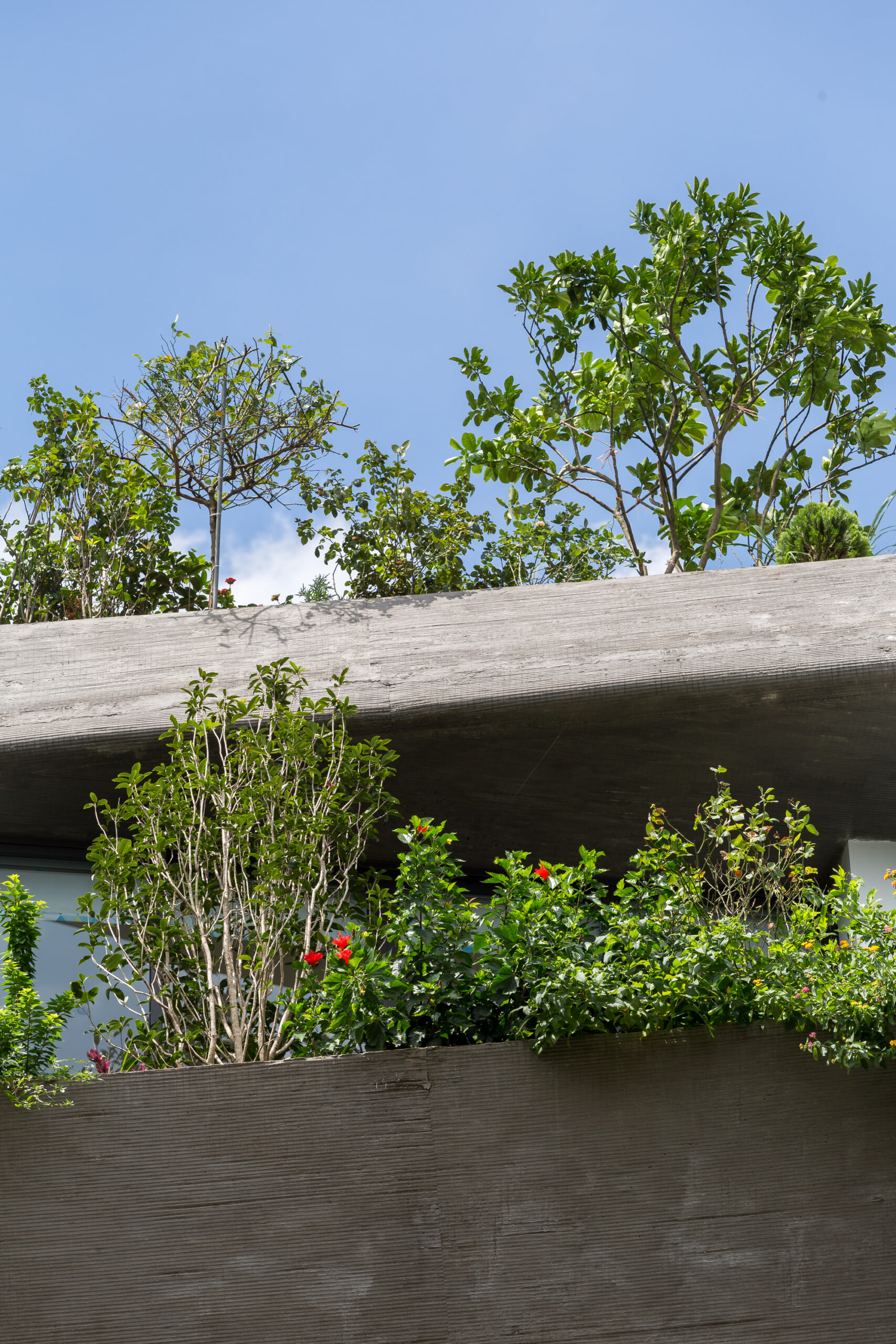 Town House Renovation in Hanoi