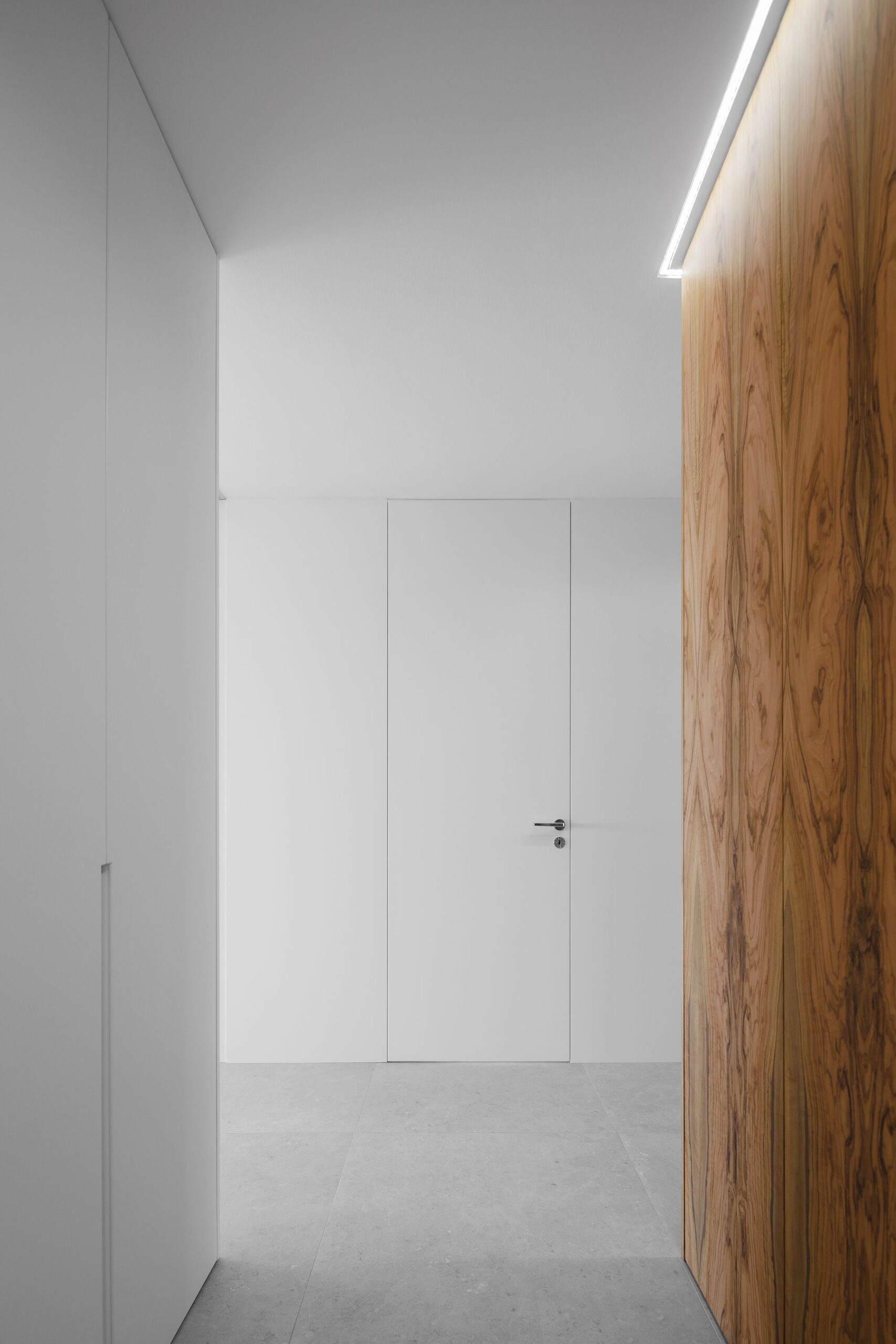 © Ivo Tavares Studio12