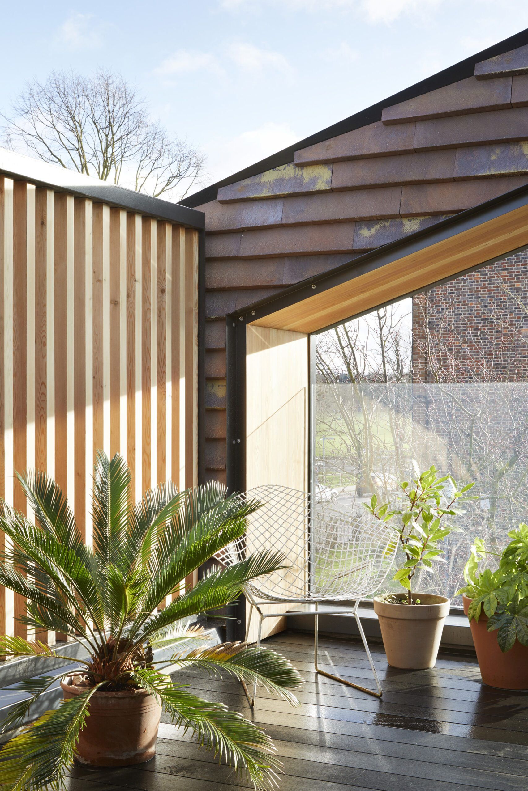 The Rye Apartments