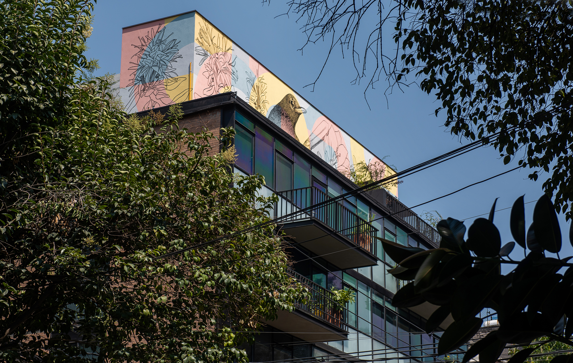 MO47 Building