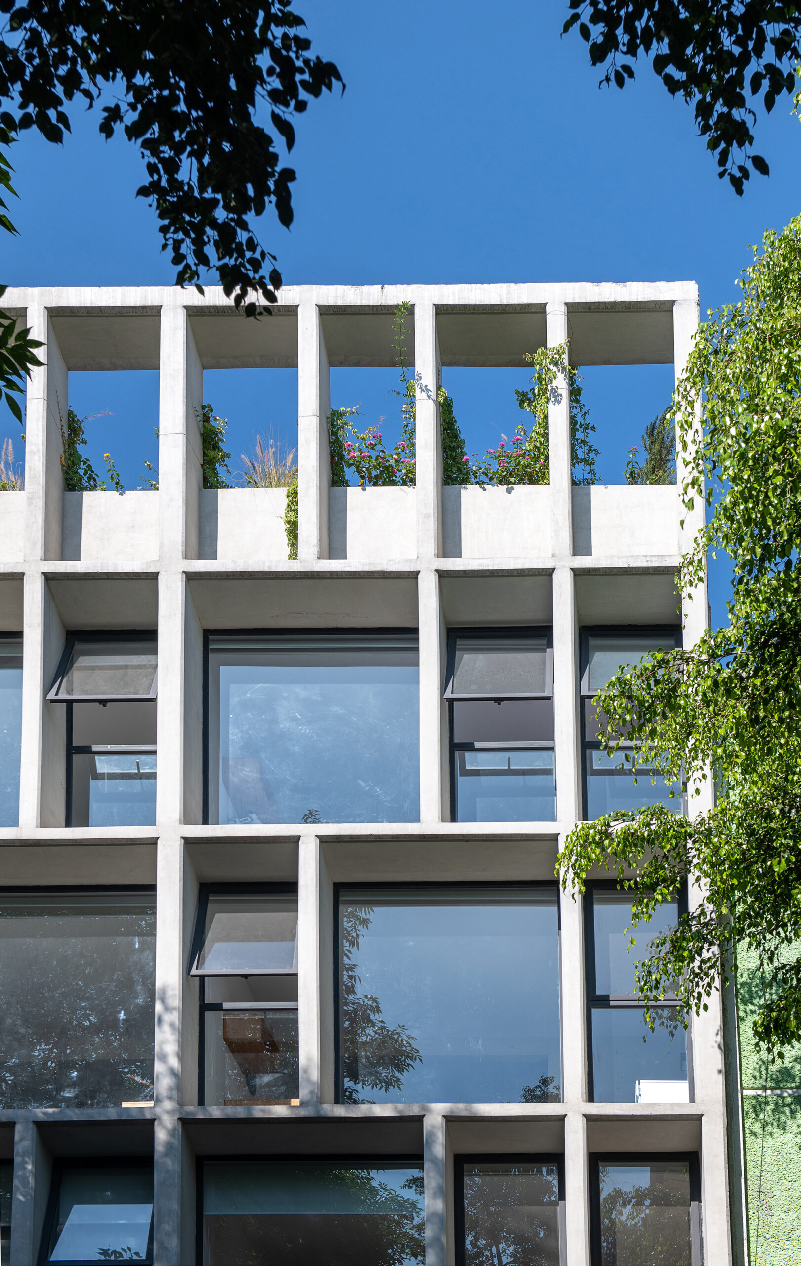 NIU Coliving