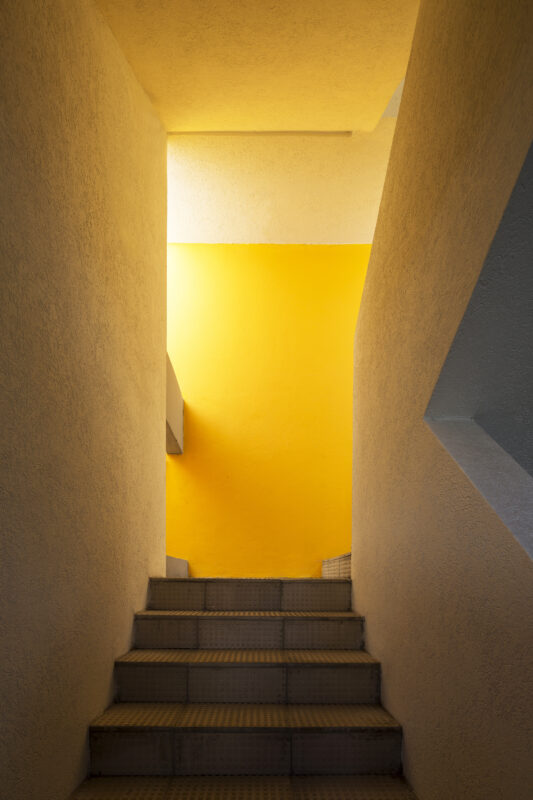 Azara 891