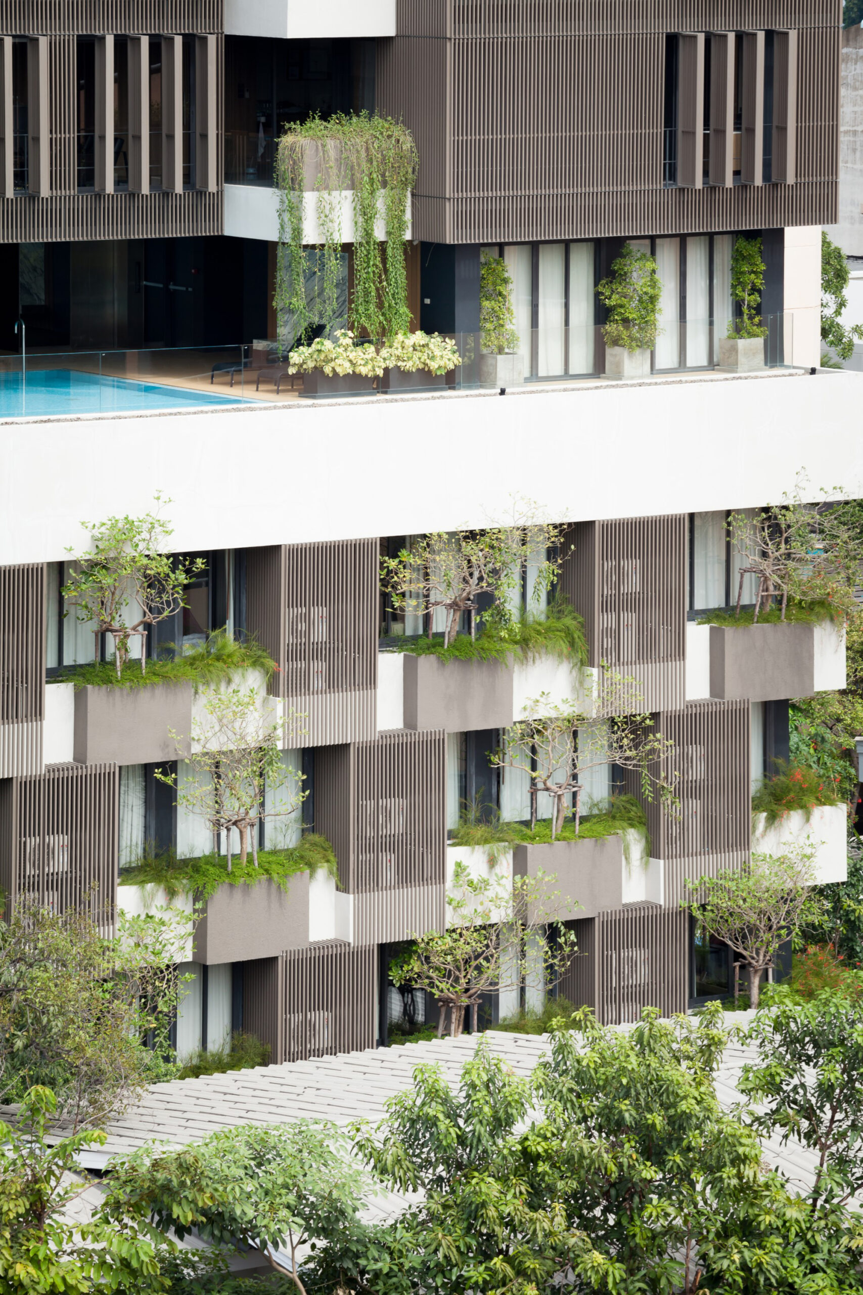 Bangkok TRYP