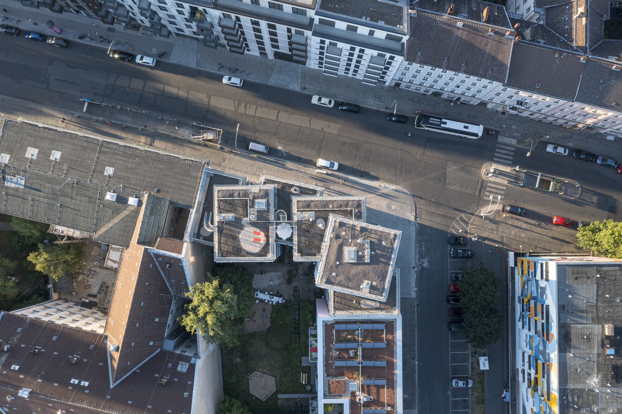 Olivar House | Matteo Ferrari