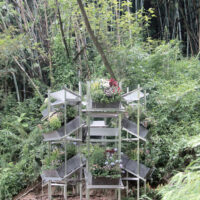Flower Room