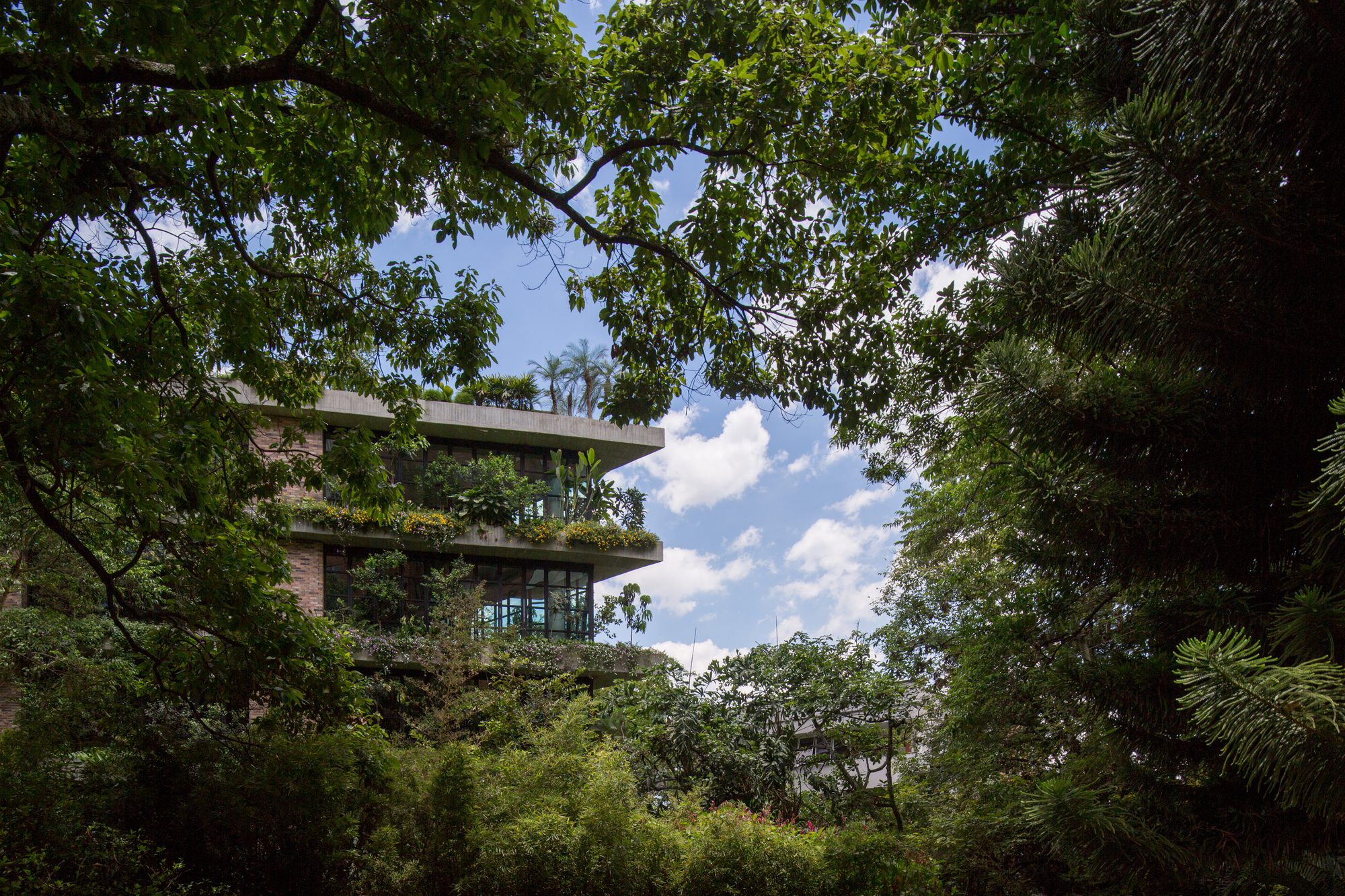Matorral Building