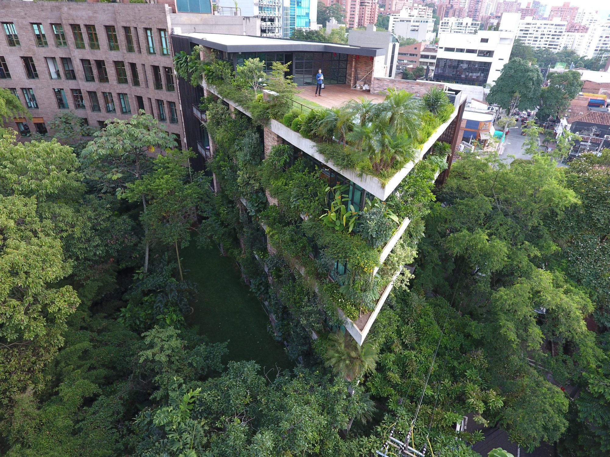 Matorral Building