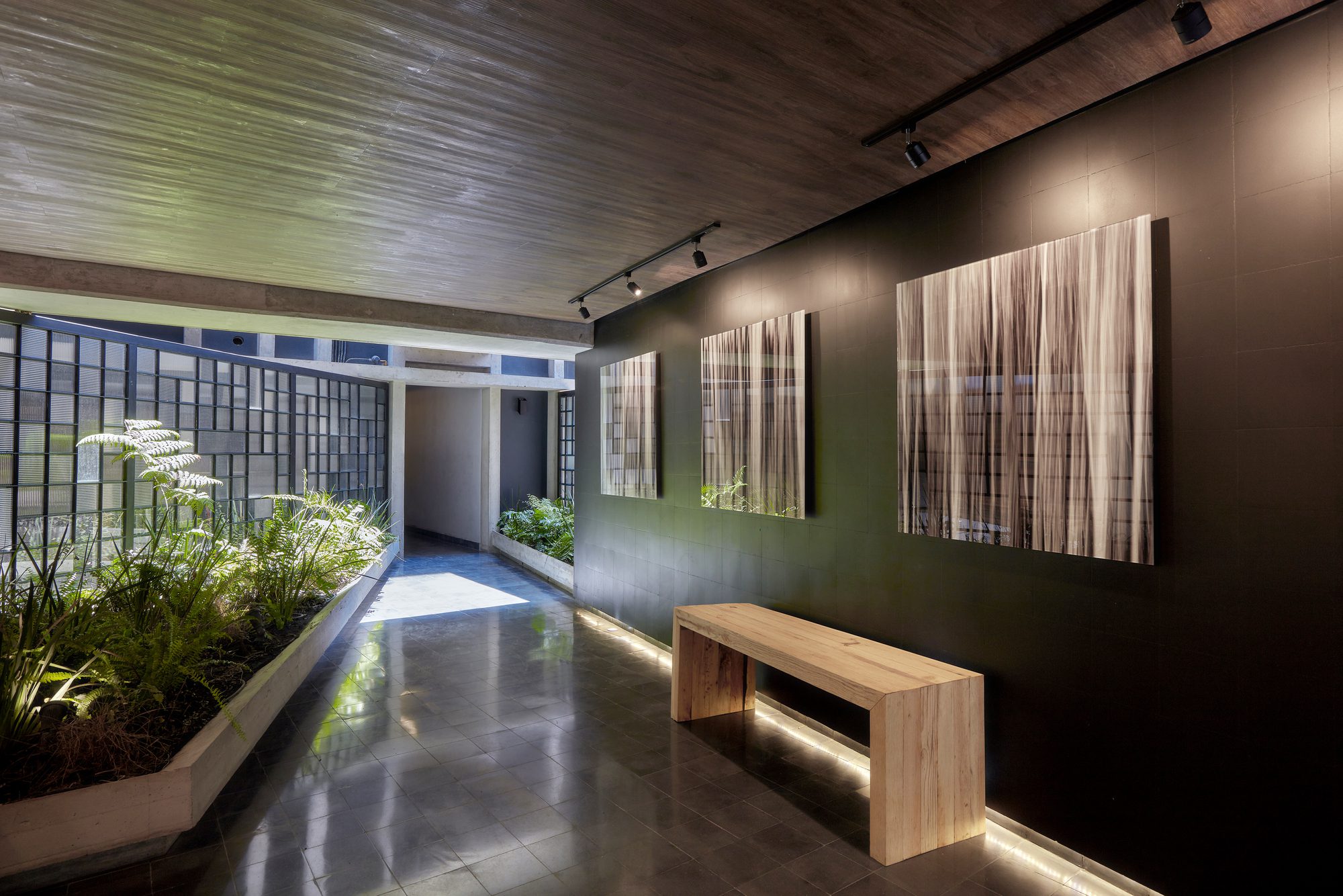 Coahuila 59
