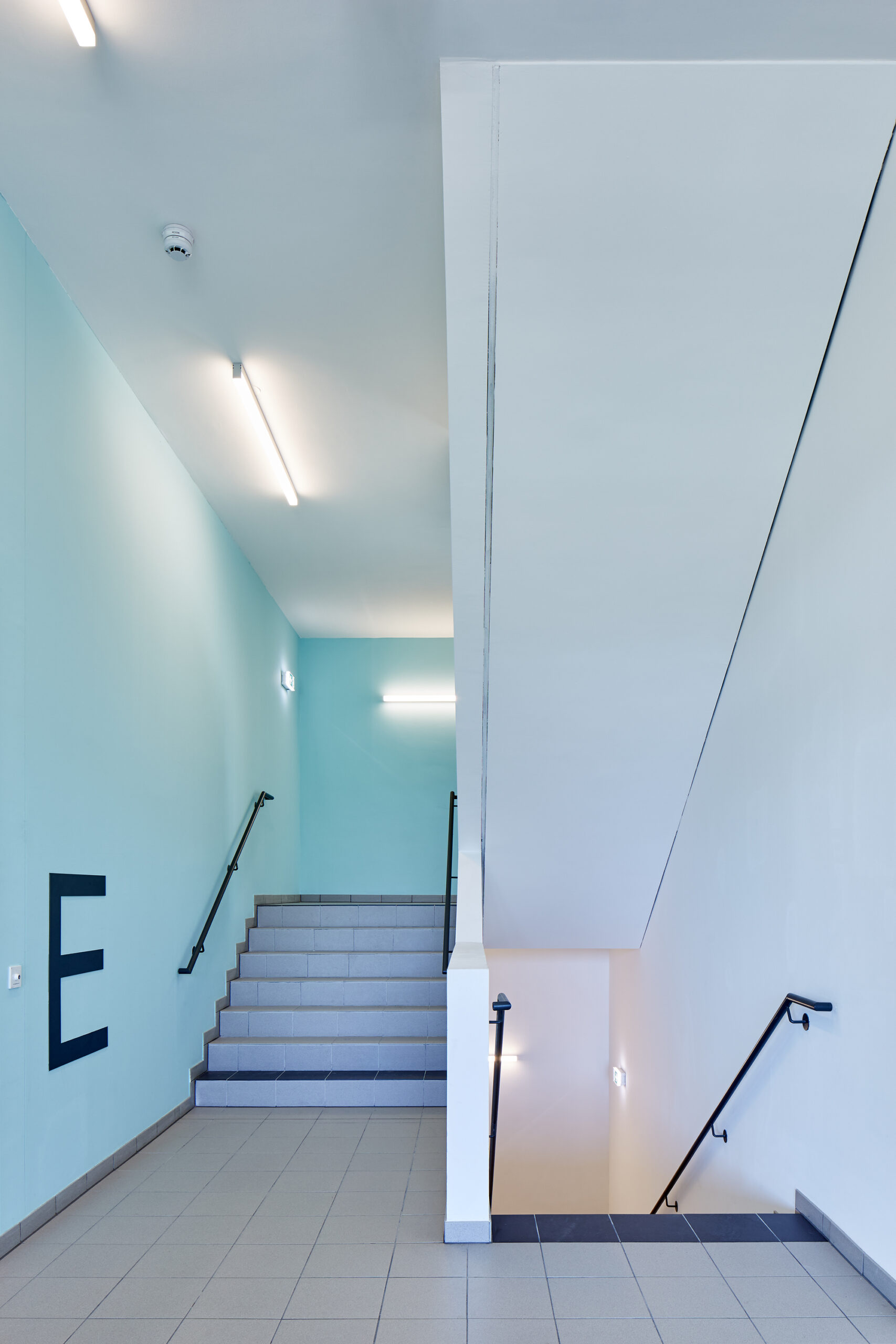 Querbeet Social Housing