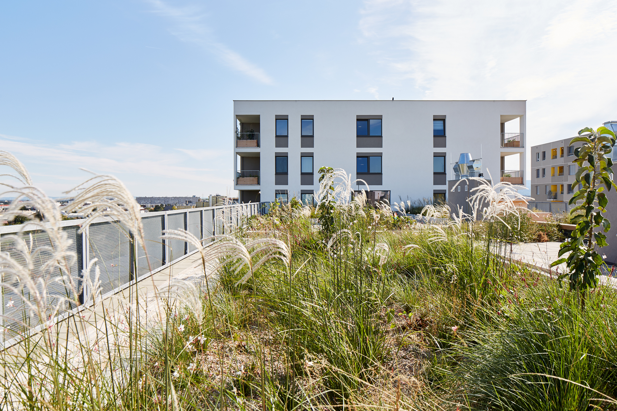 Querbeet Social Housing