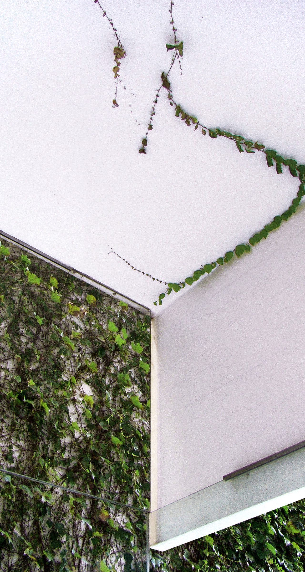 © Manuel Cucurell21