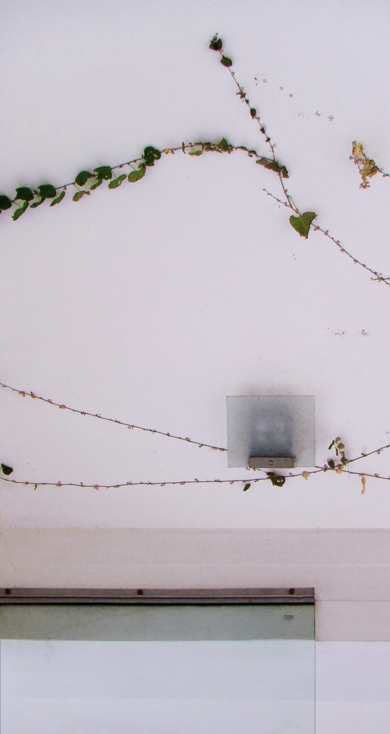 © Manuel Cucurell22