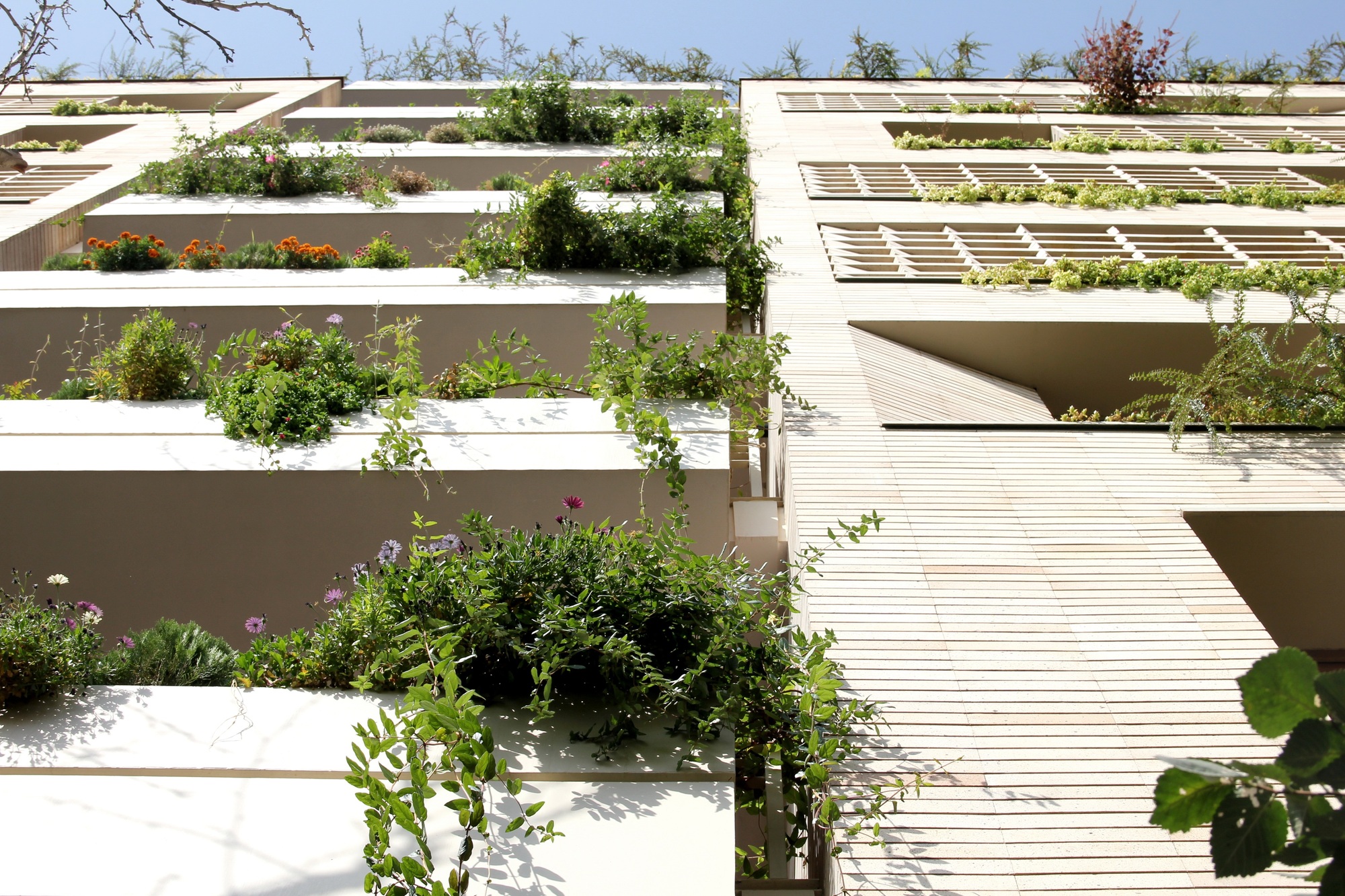 Green House