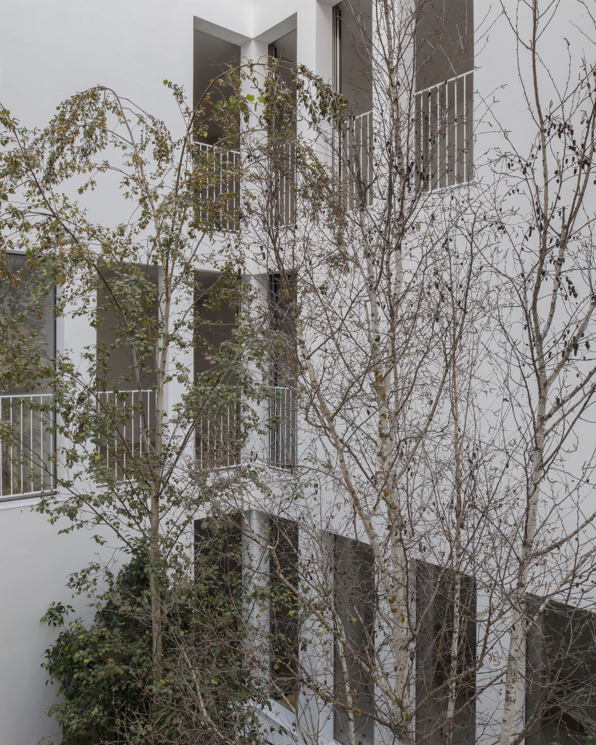 Praga Residential
