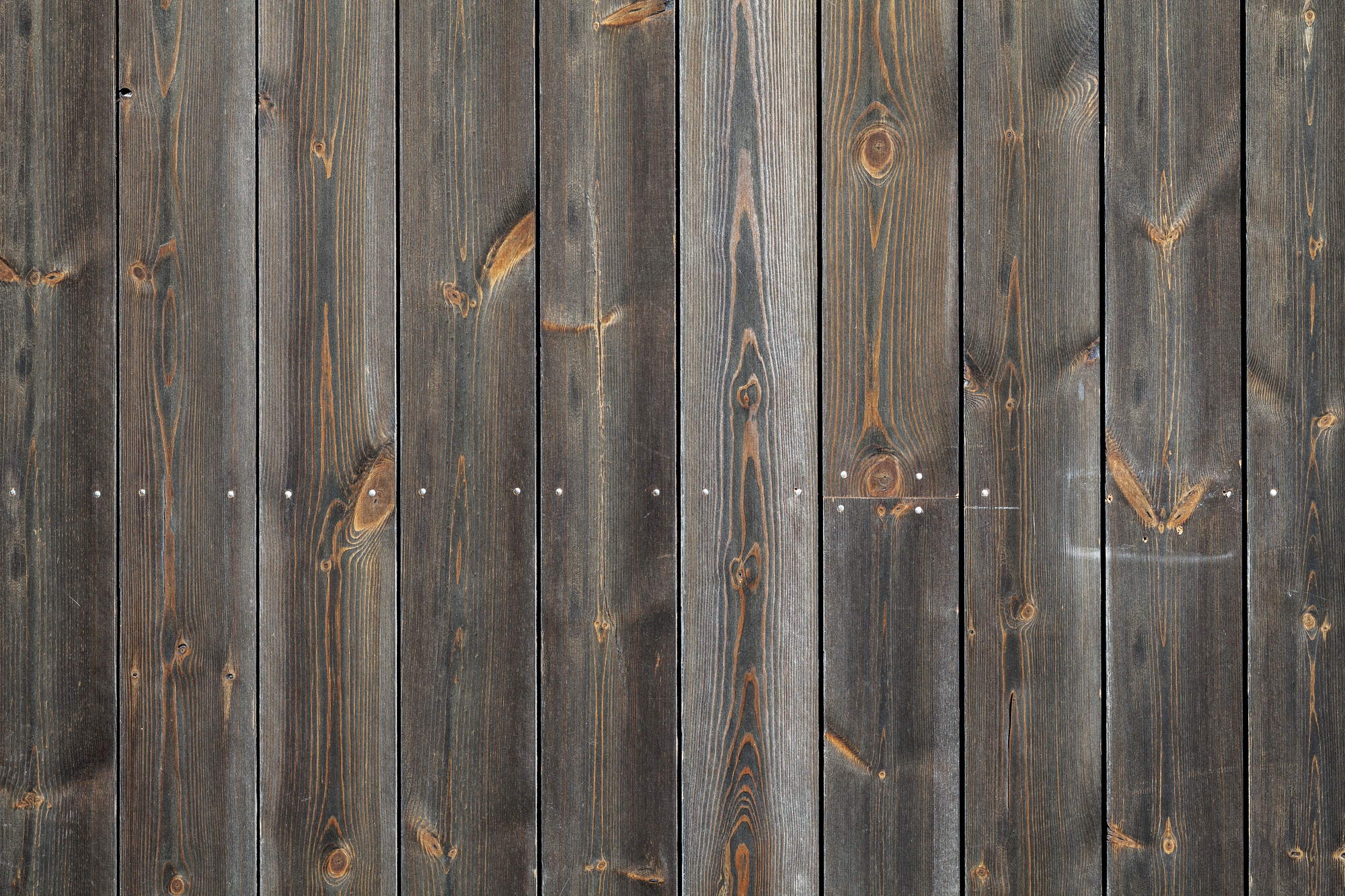 Kajstaden Tall Timber