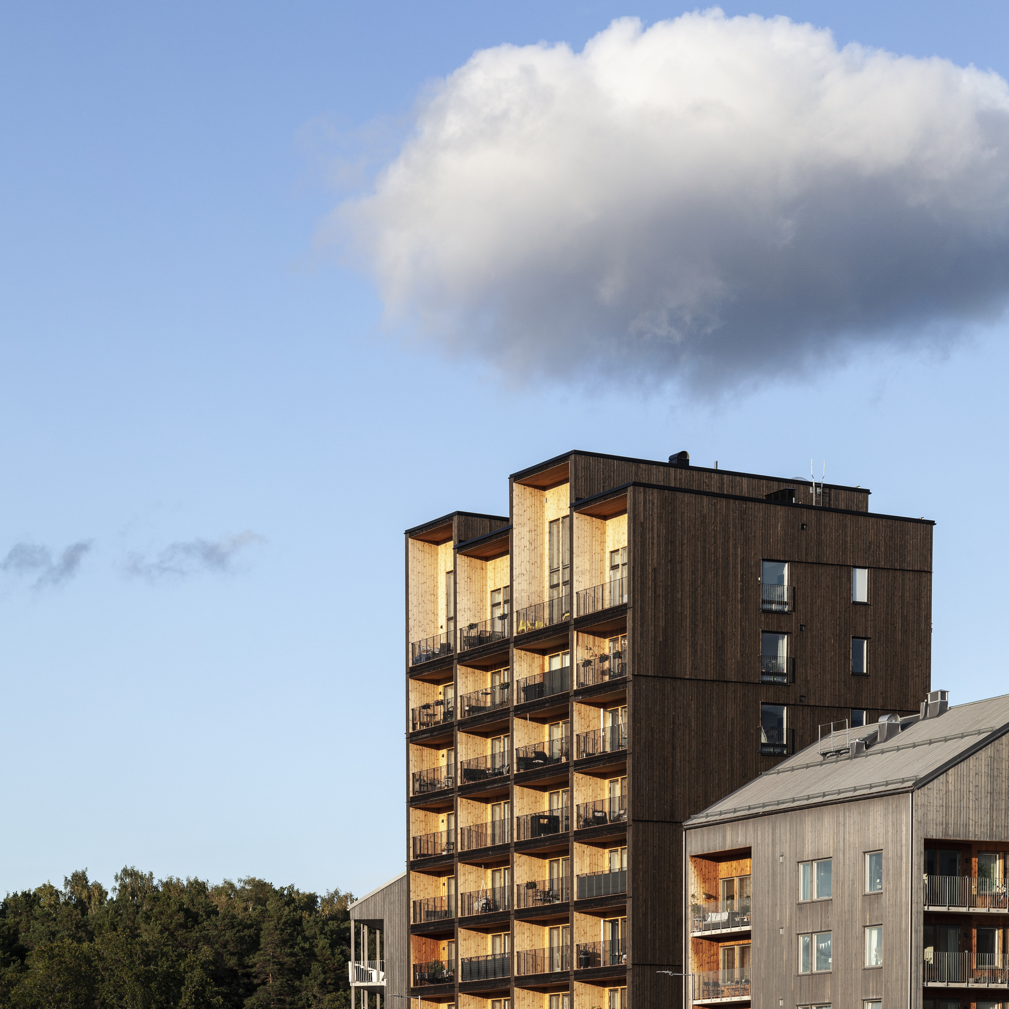 Kajstaden Tall Timber