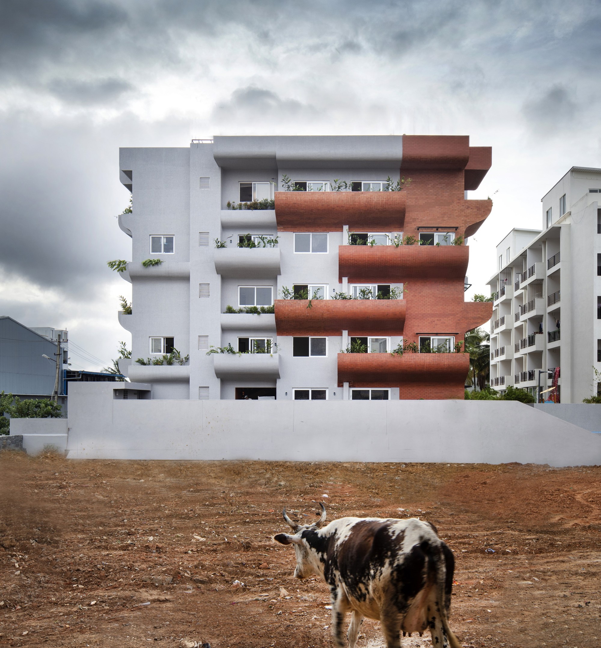 Axis Vanam
