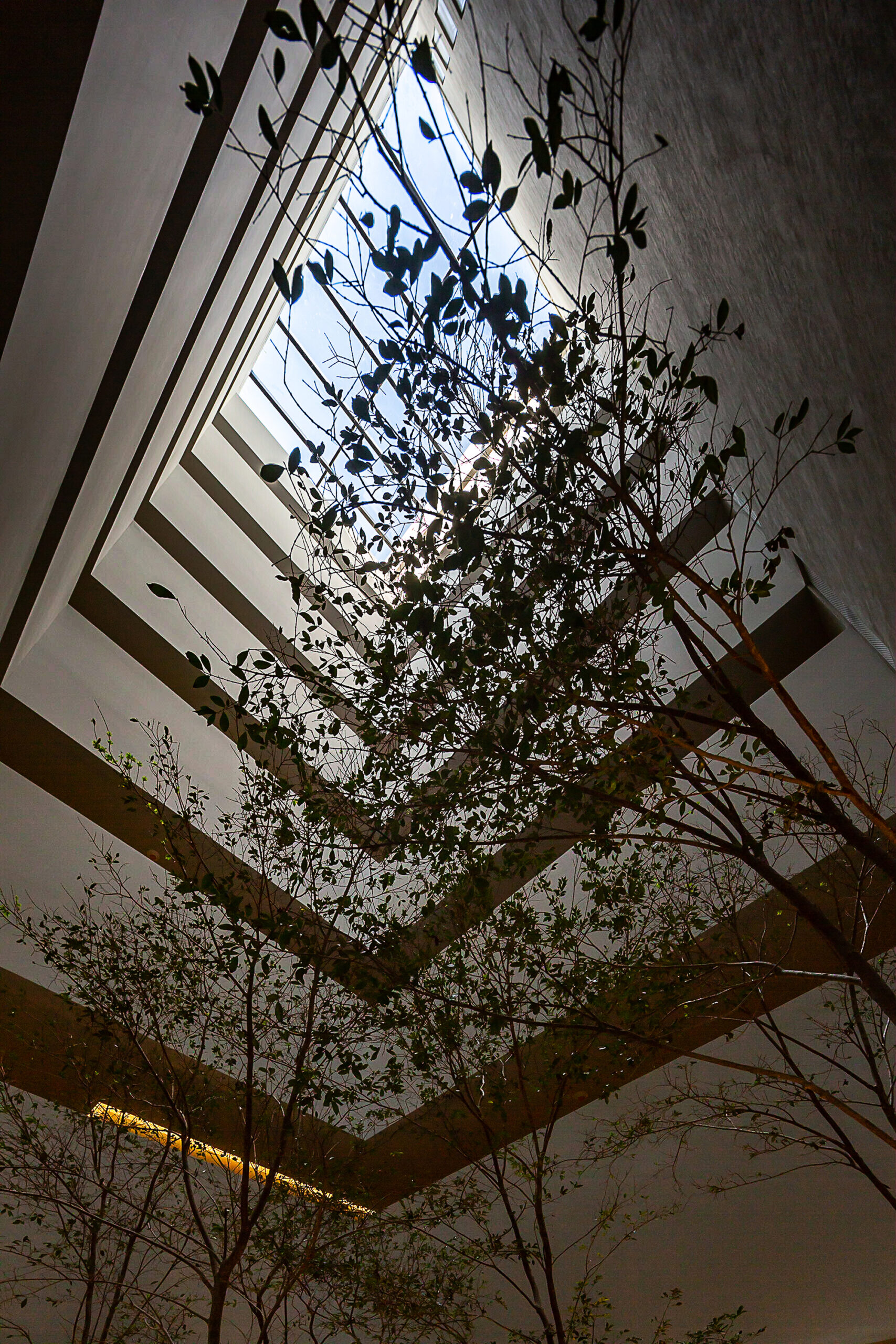 Zacatecas Building