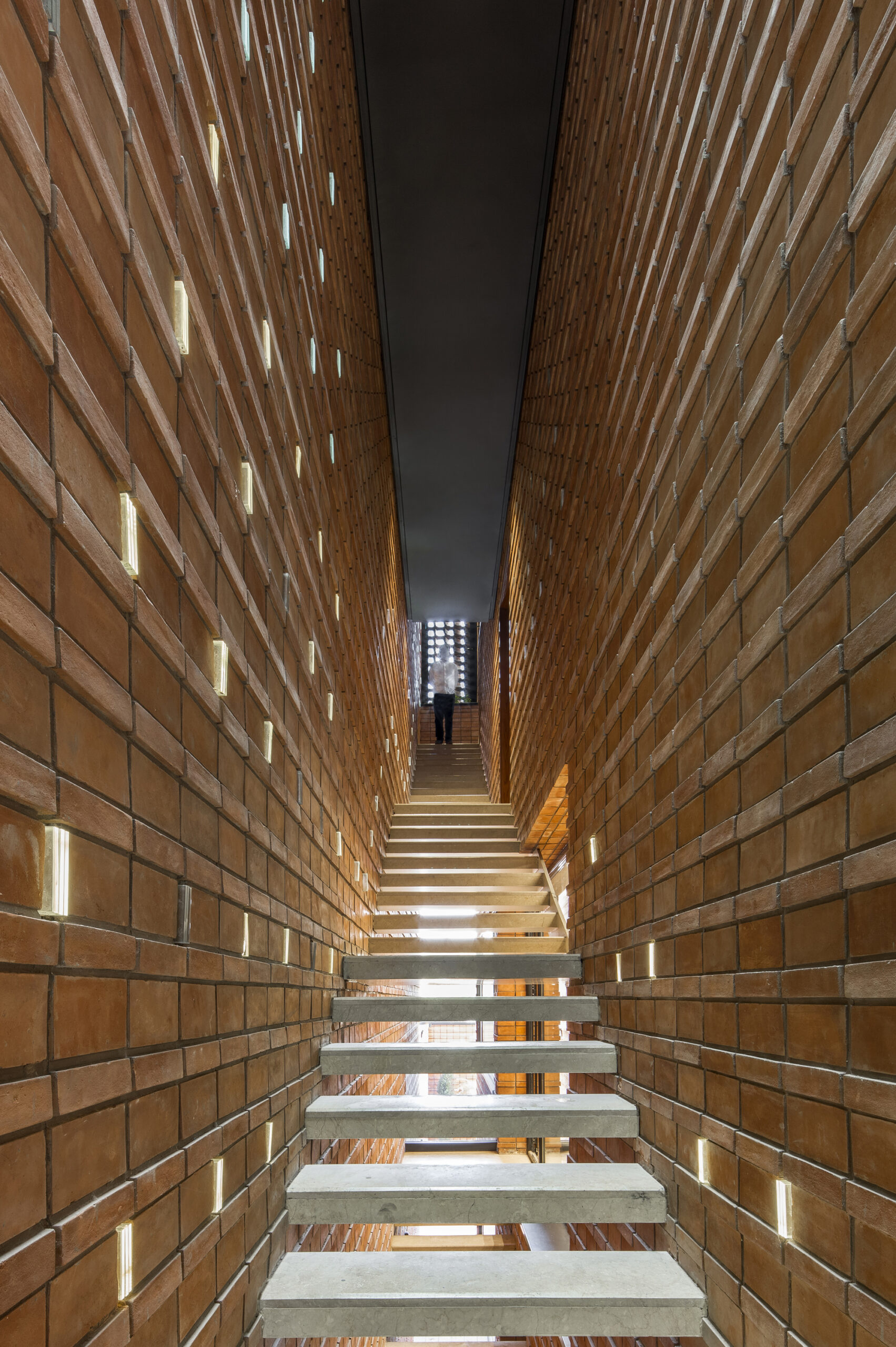 © Parham Taghioff11