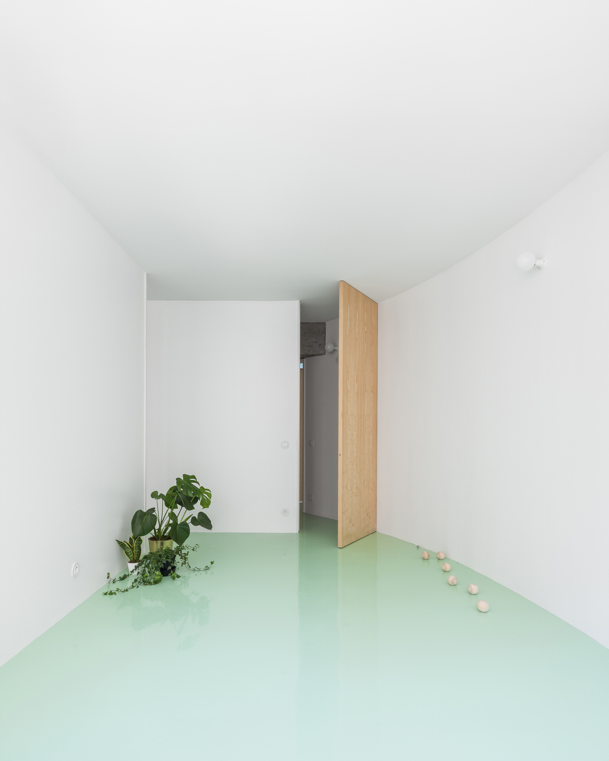 Apartment on a mint floor