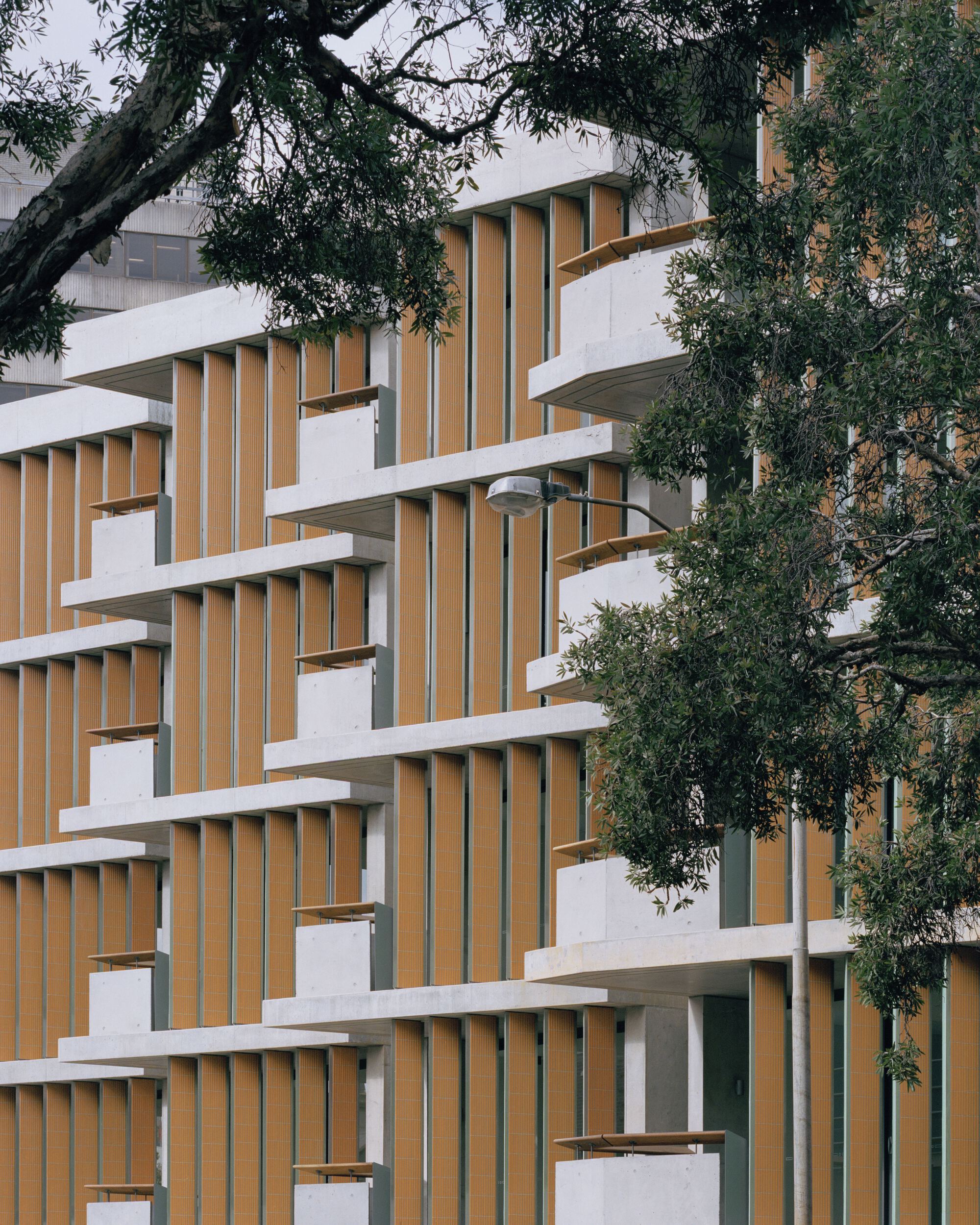 The Surry Residential