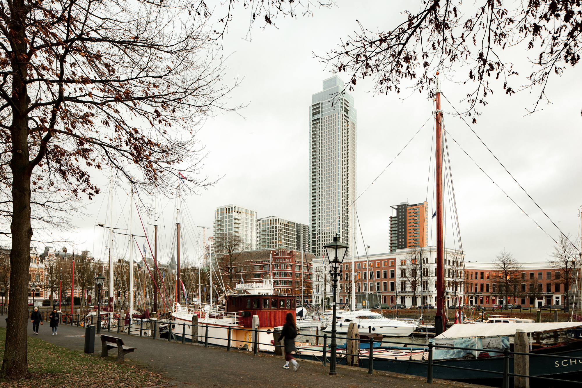 De Zalmhaven