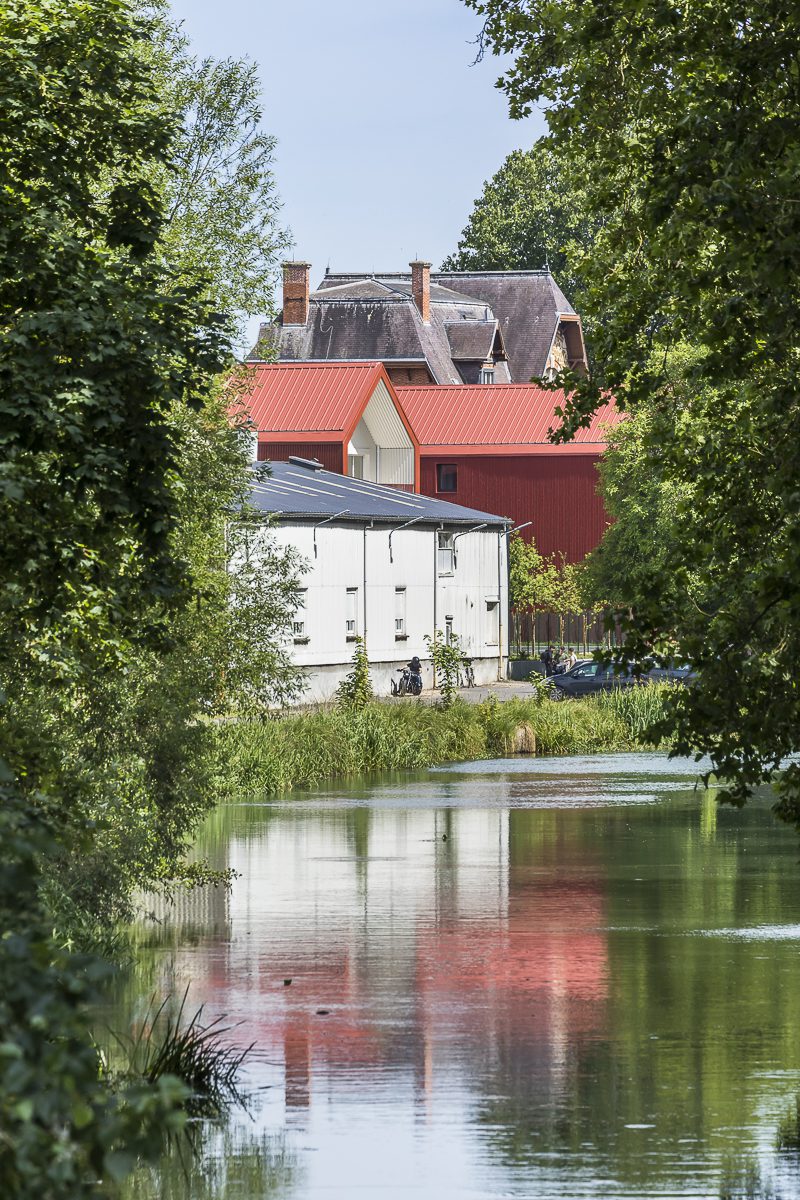 Les Aulnes