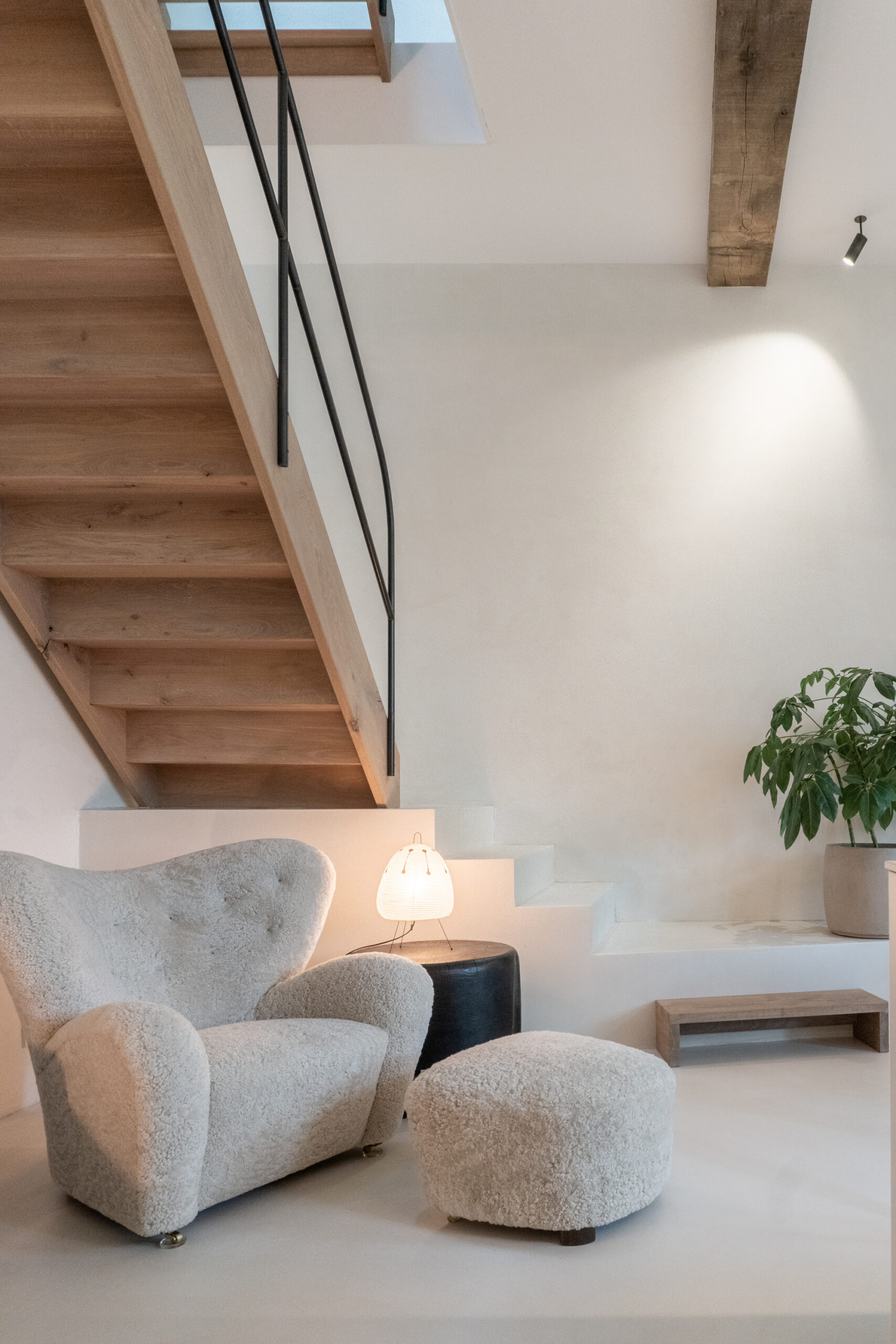 Urban Villa in Amsterdam