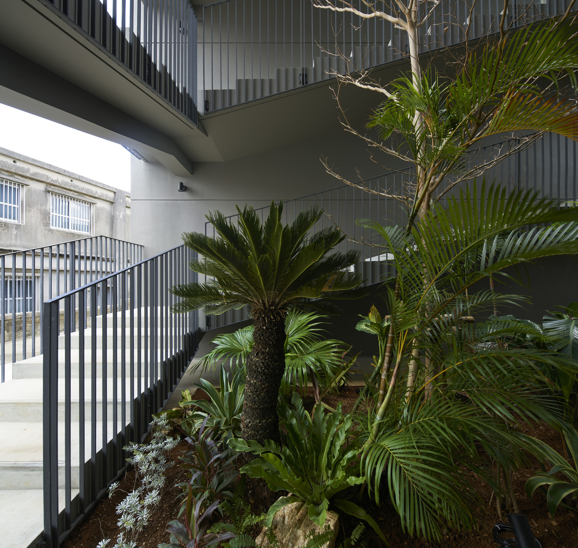 N Apartment