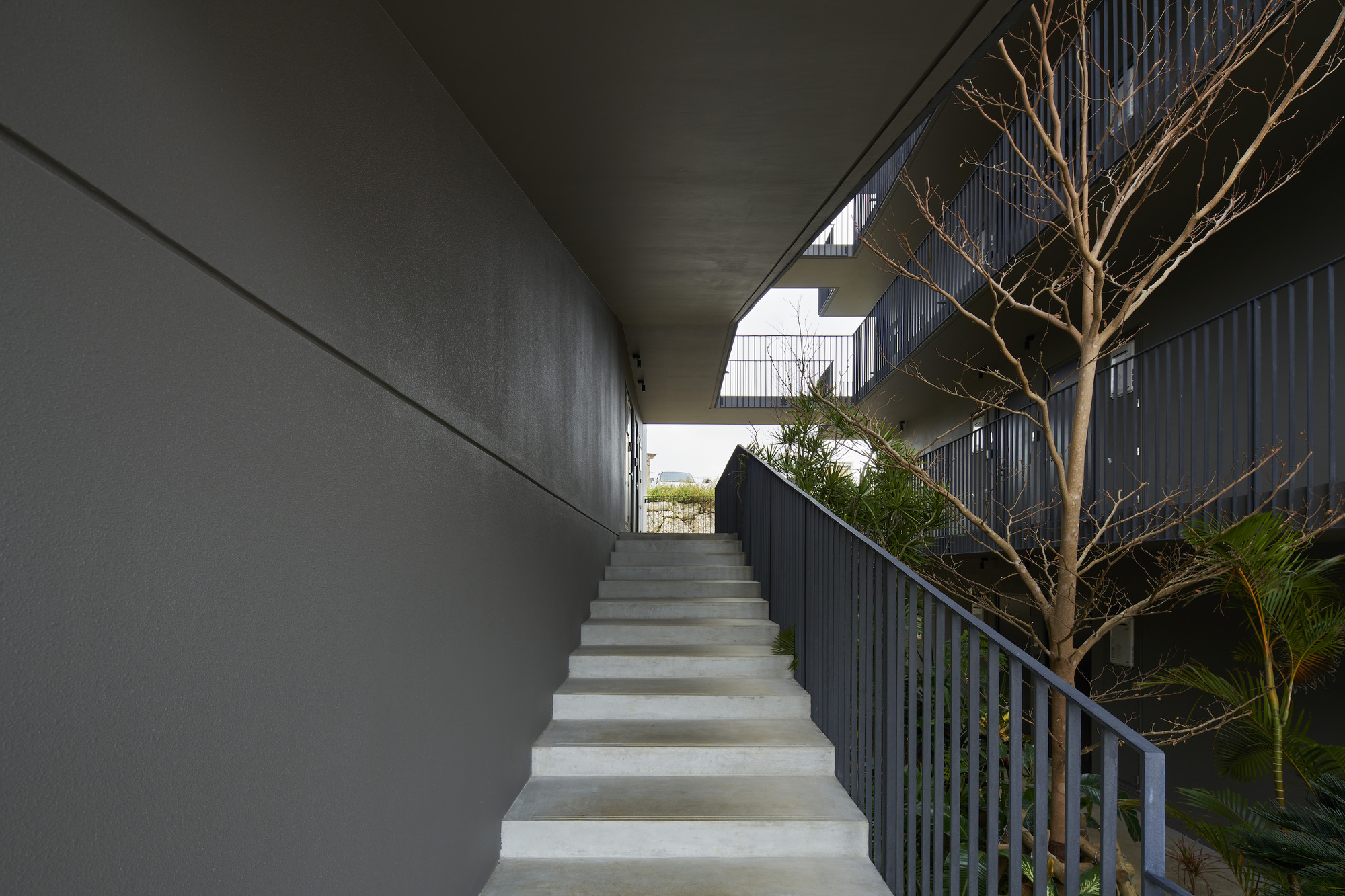 N Apartment